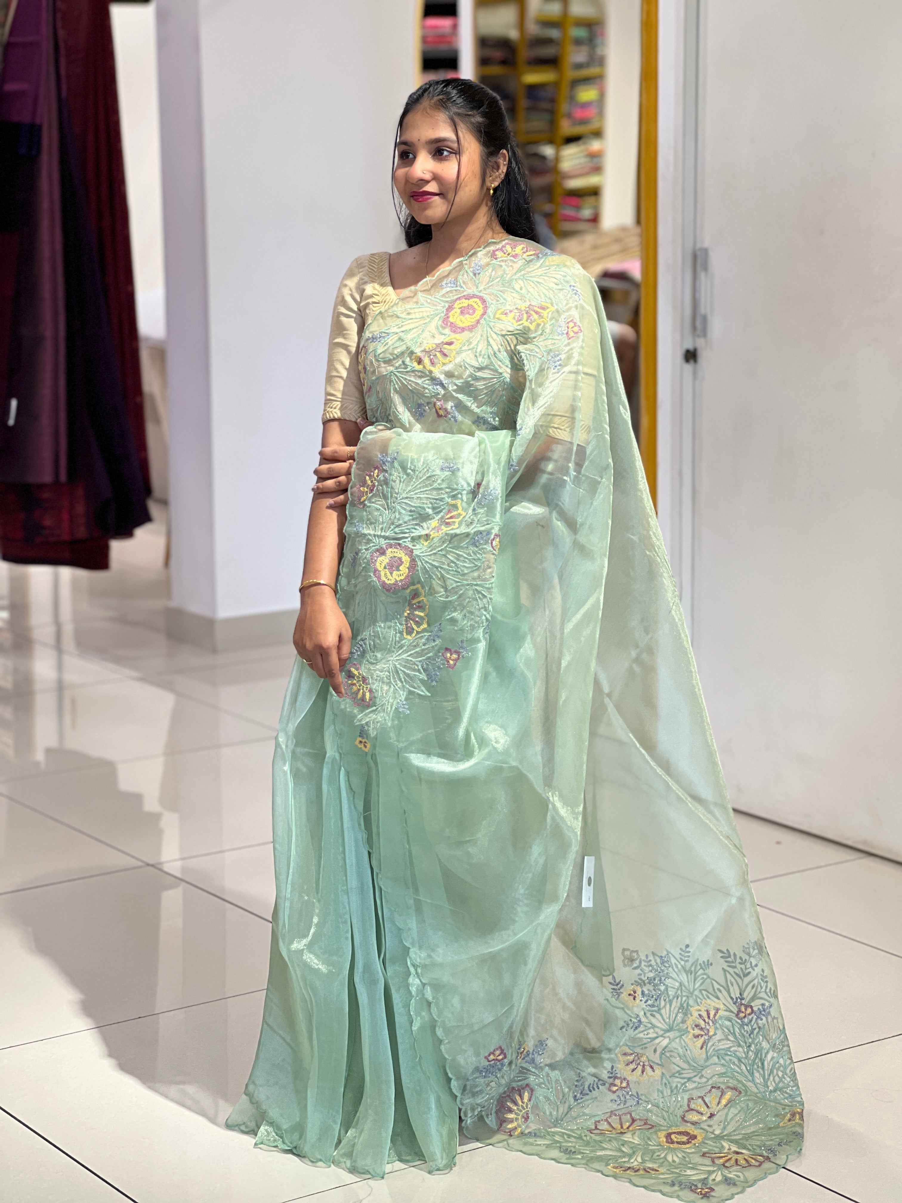 Applique Detailed Shimmer Organza Saree |  BLD1581