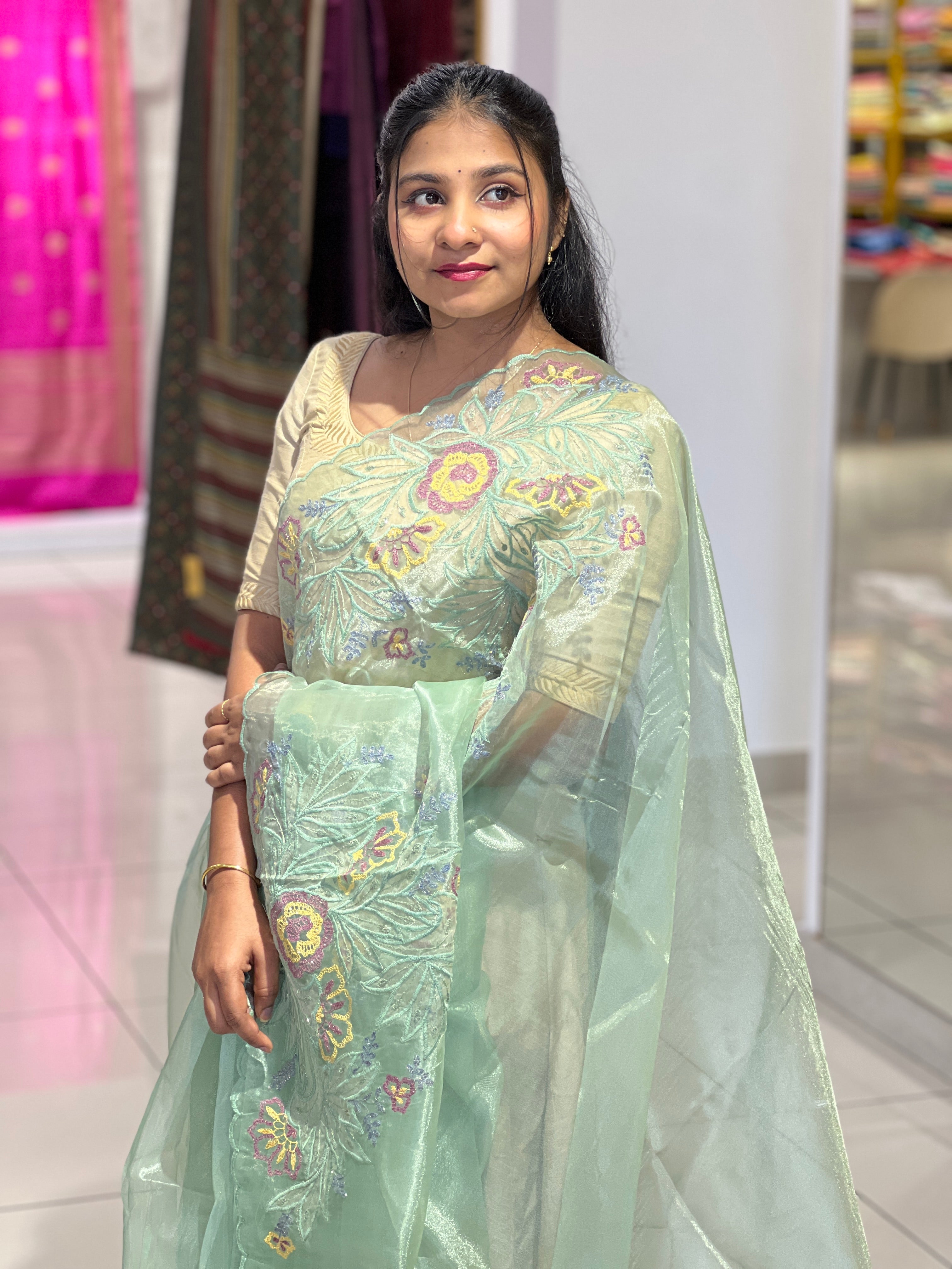 Applique Detailed Shimmer Organza Saree |  BLD1581