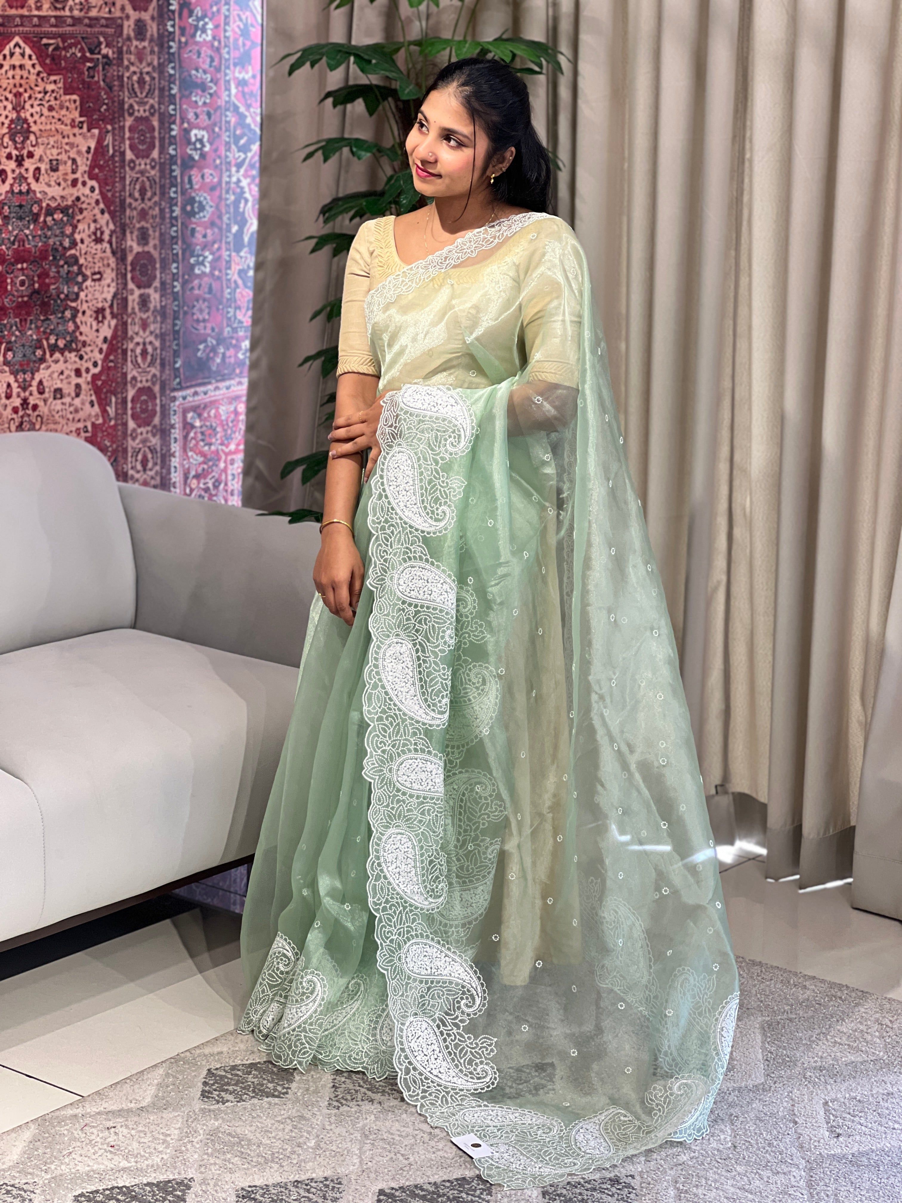Point Embroidery Detailed Organza Saree | BLD1585