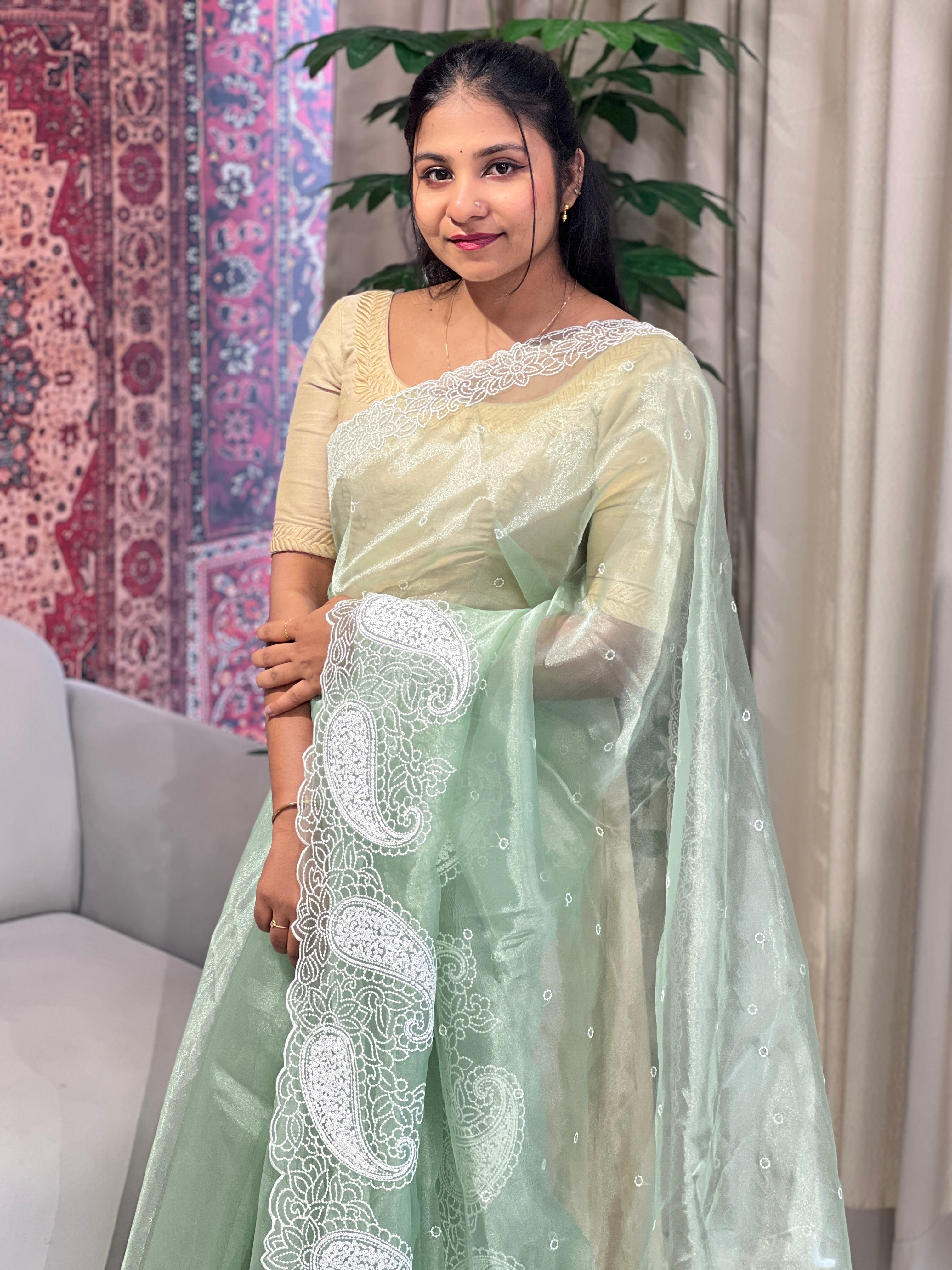 Point Embroidery Detailed Organza Saree | BLD1585