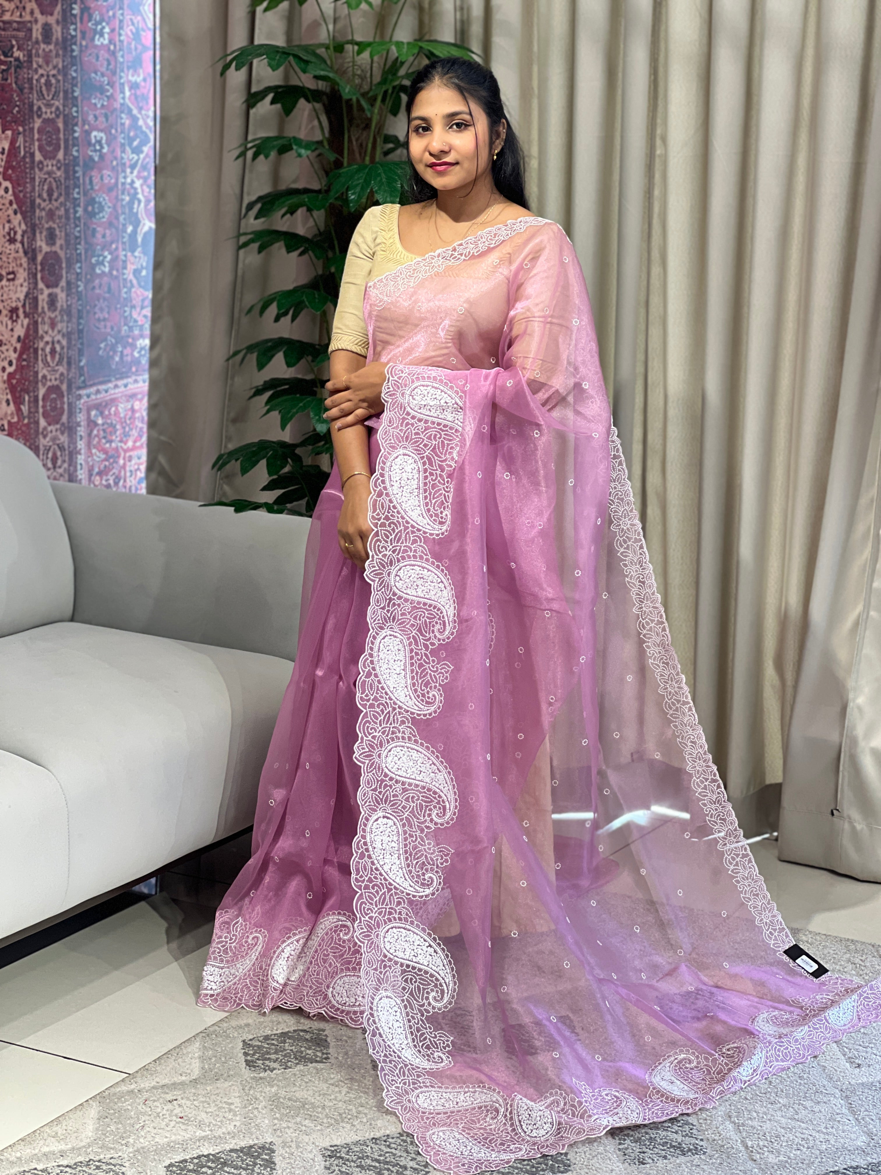 Point Embroidery Detailed Organza Saree | BLD1586