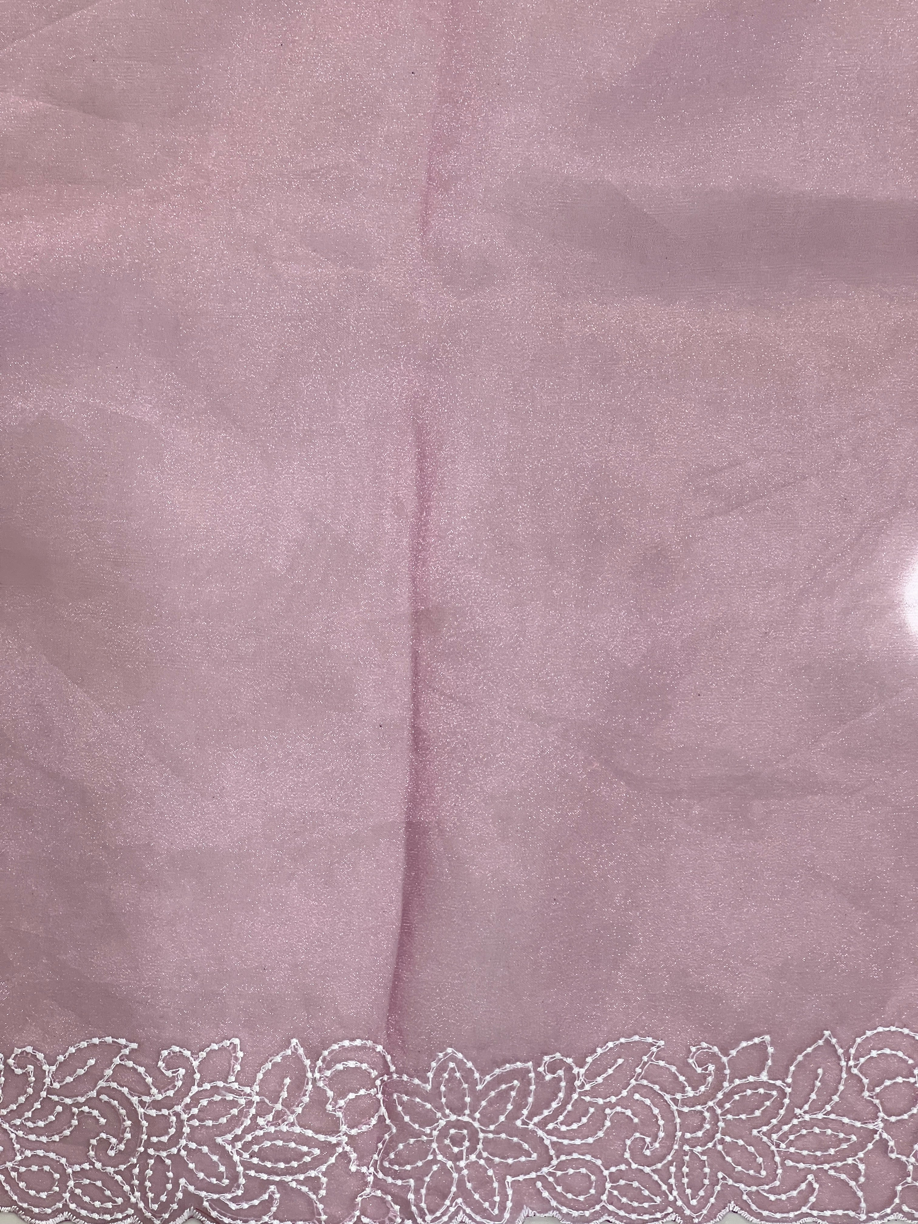 Point Embroidery Detailed Organza Saree | BLD1586