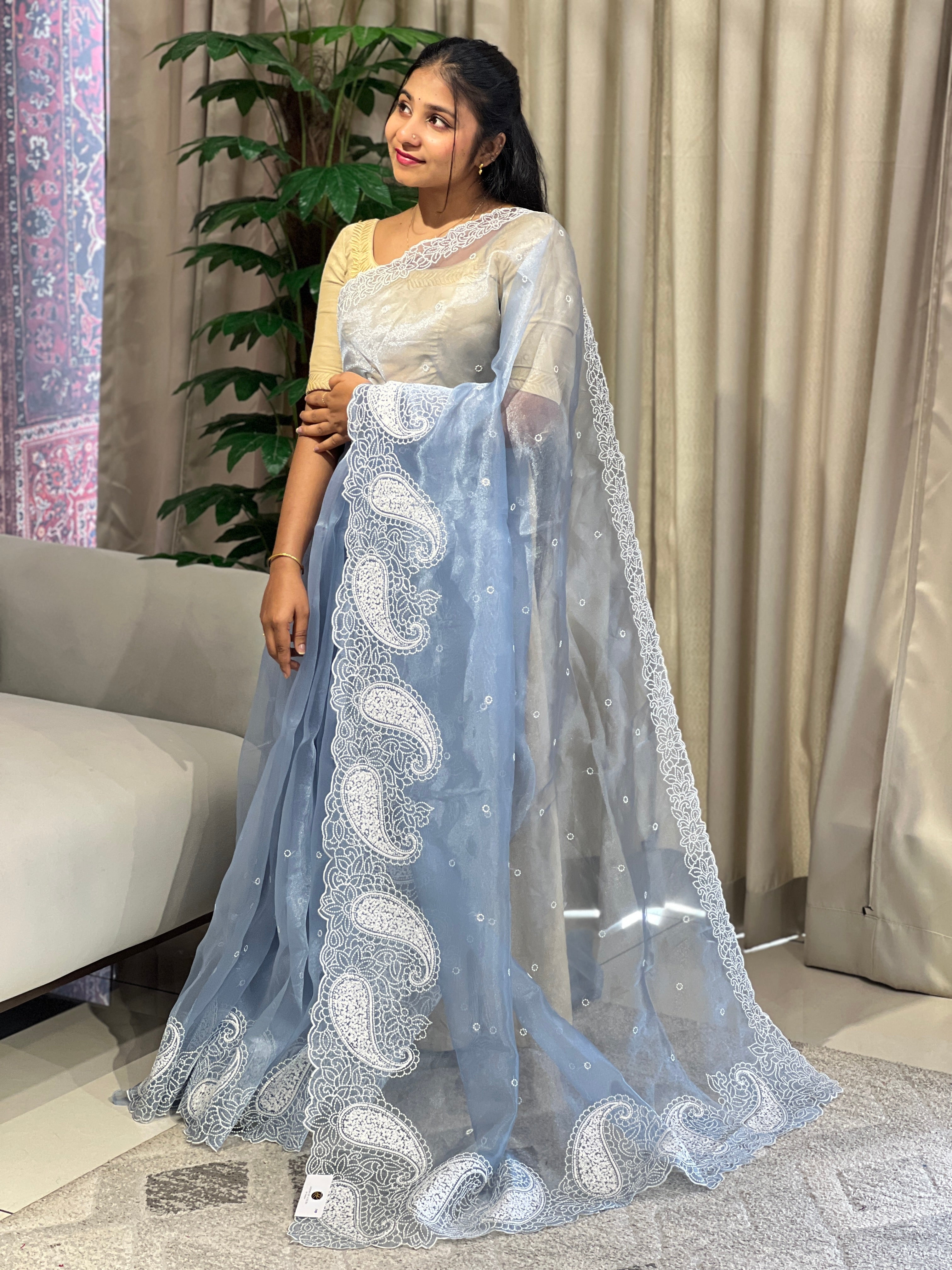 Point Embroidery Detailed Organza Saree | BLD1583