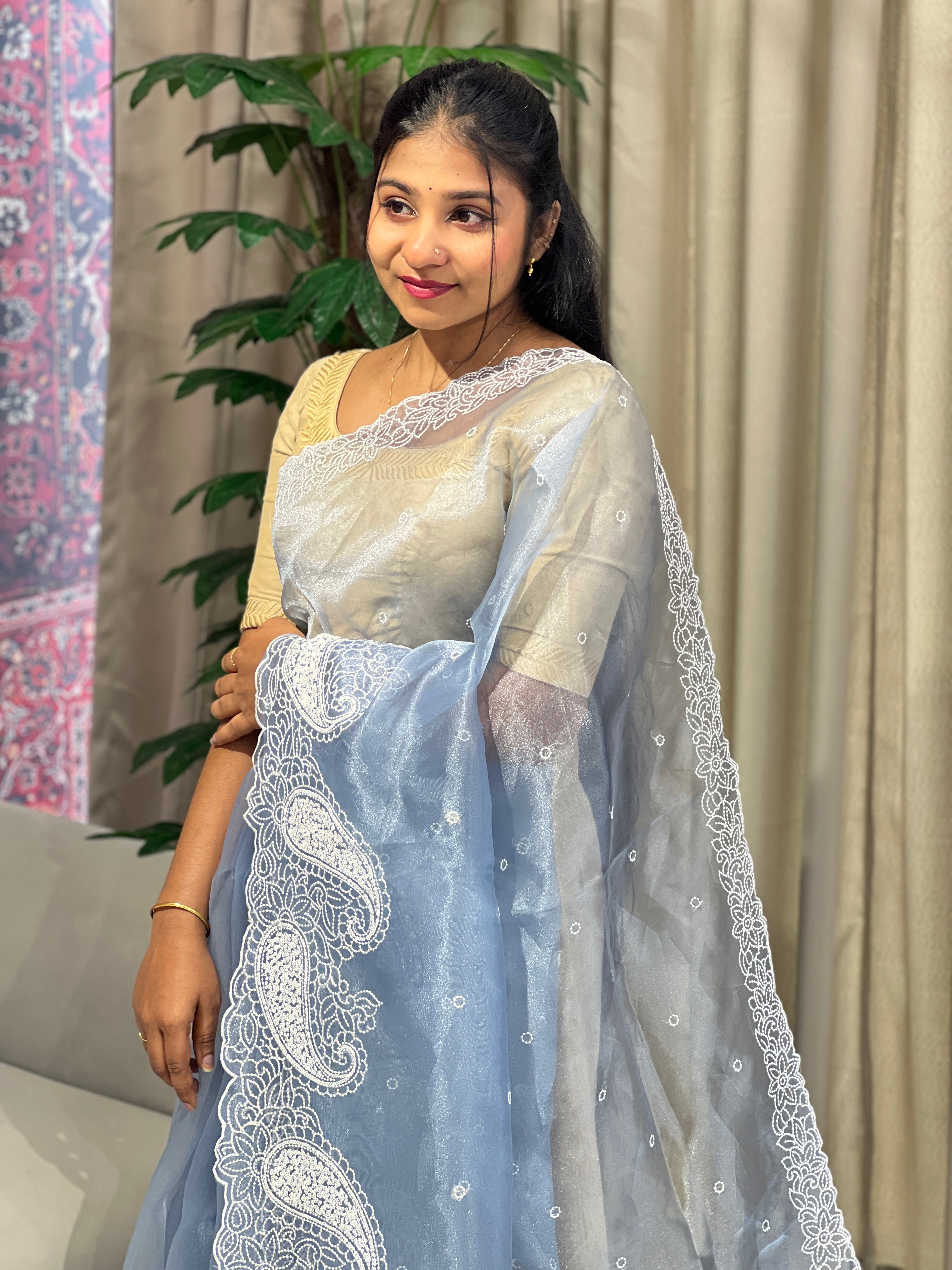 Point Embroidery Detailed Organza Saree | BLD1583
