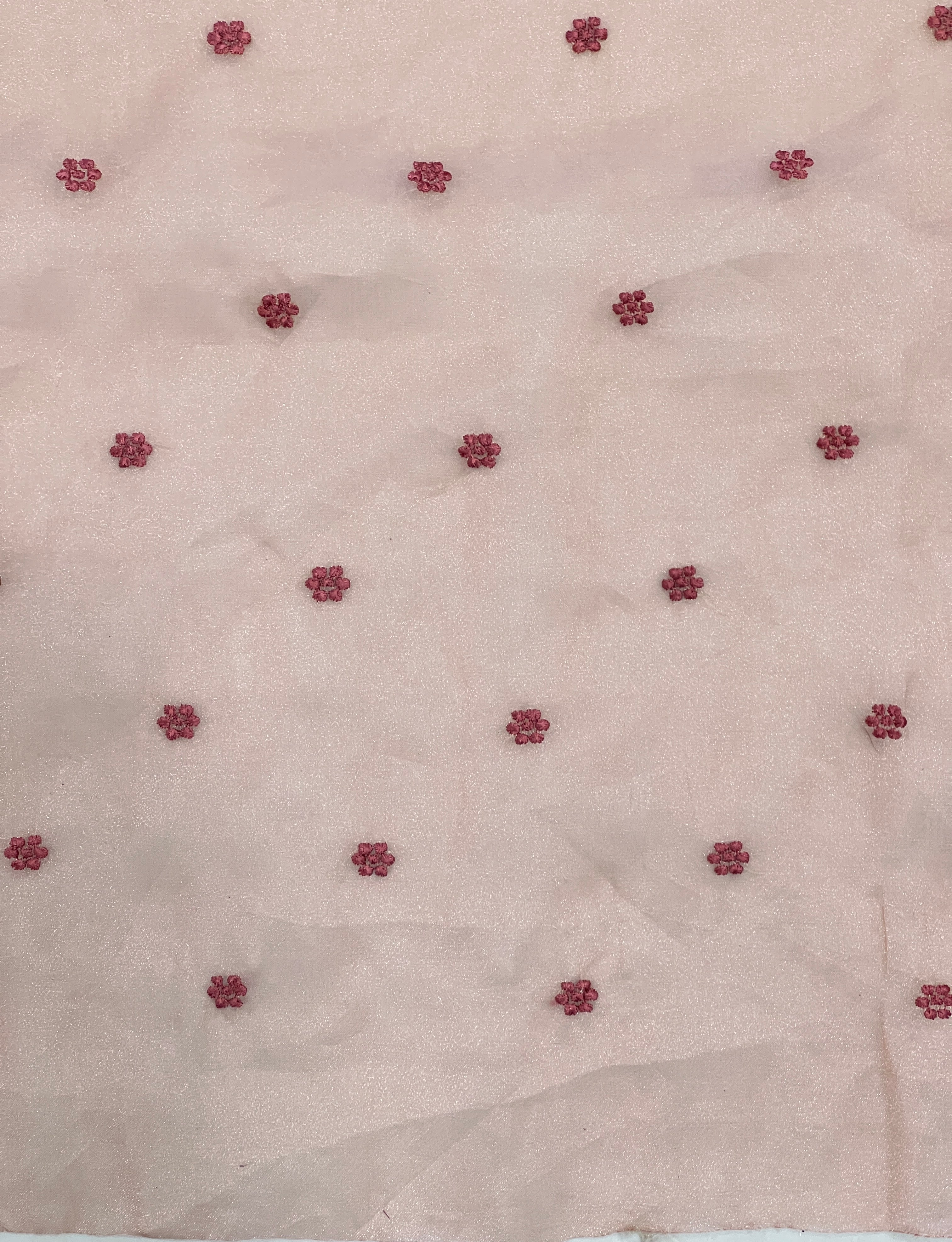 Floral Embroidery Detailed Shimmer Organza Saree | BLD1601