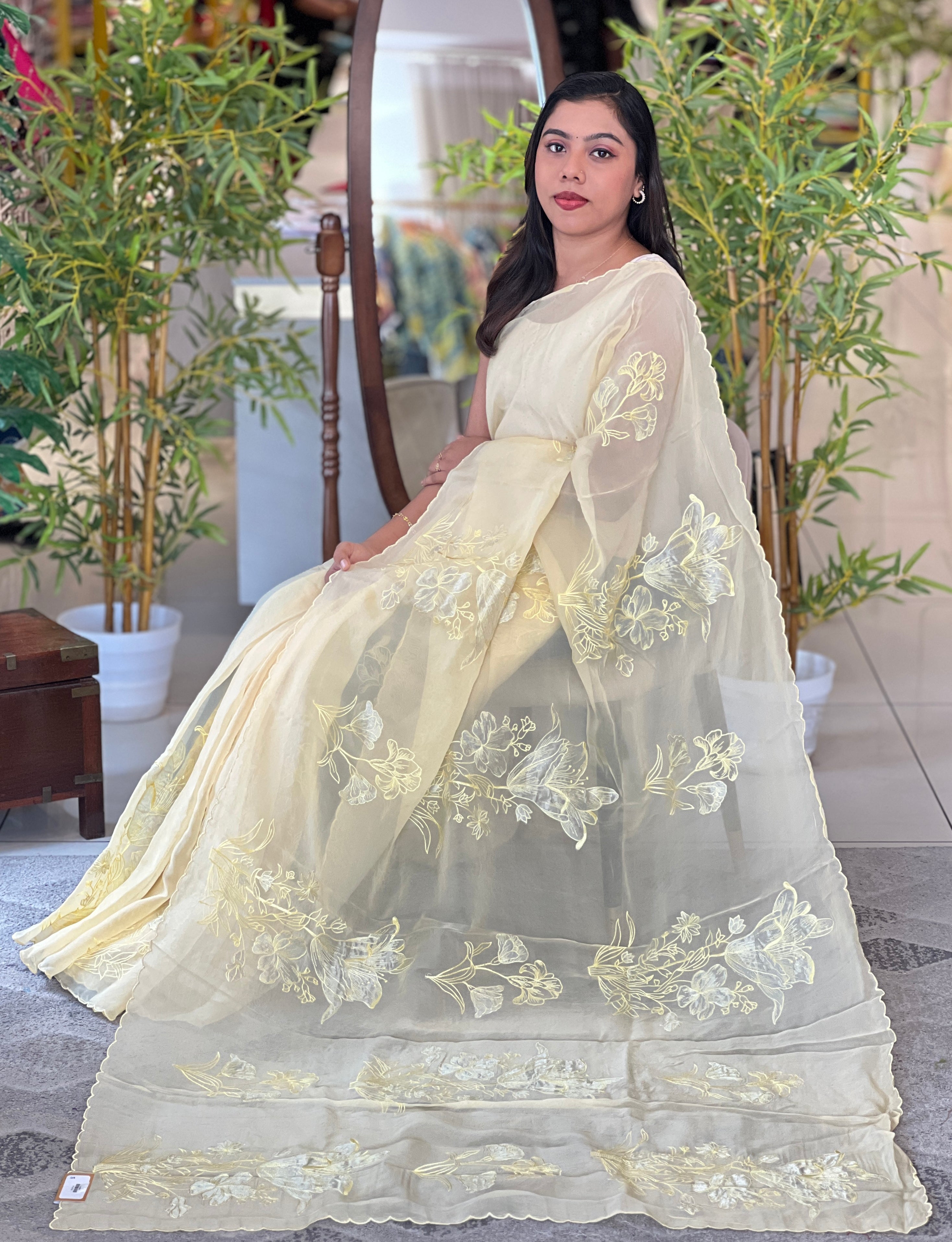 Tissue Applique Patterned Organza Saree | MM459
