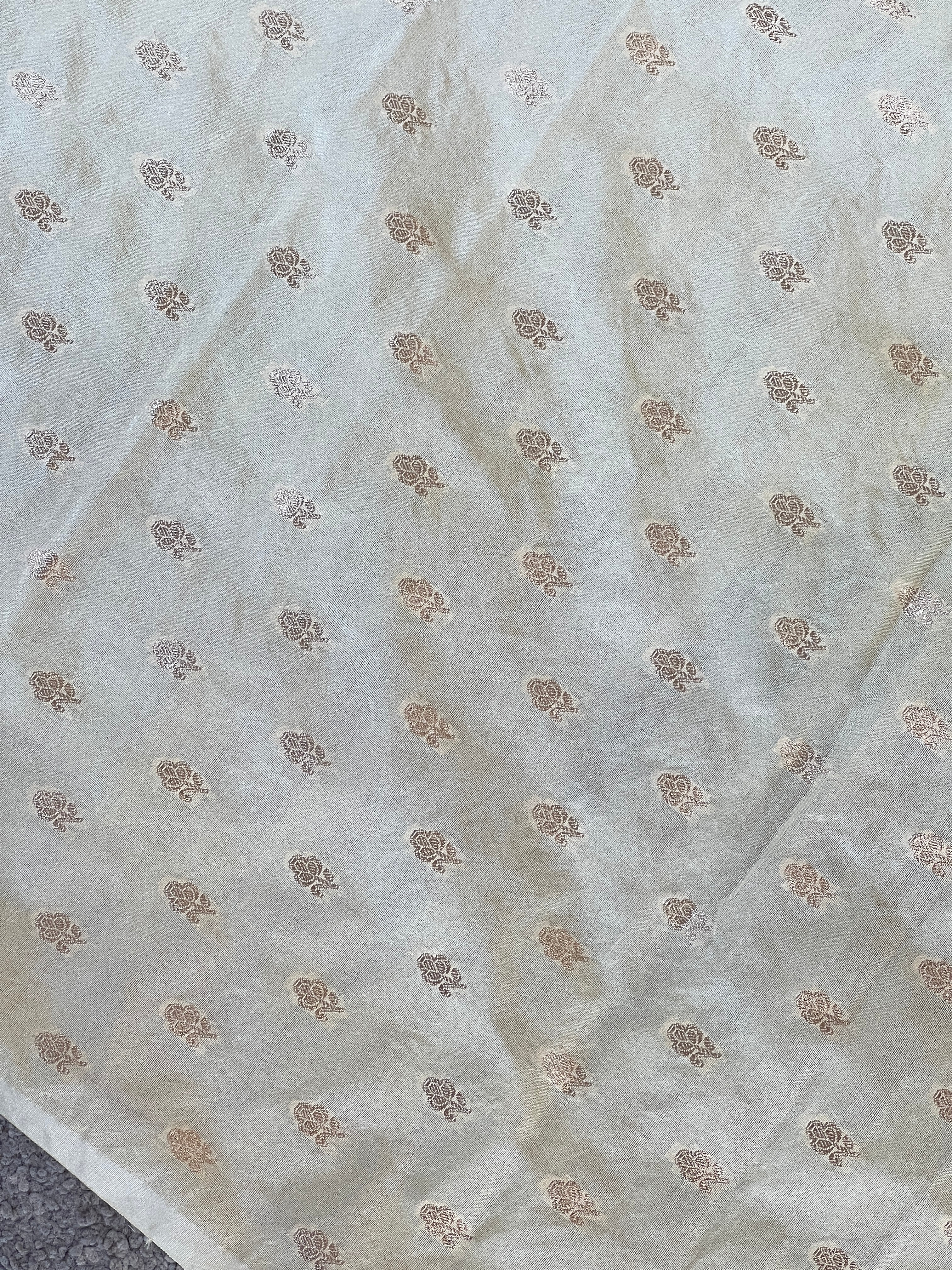 Tissue Applique Patterned Organza Saree | MM459