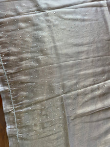 Computerized Machine Embroidery Nylon Organza Saree | ISP121