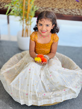 Brocade Patterned Handloom Banarasi Katan Unstitched Top & Skirt | ONK102