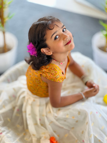 Brocade Patterned Handloom Banarasi Katan Unstitched Top & Skirt | ONK102