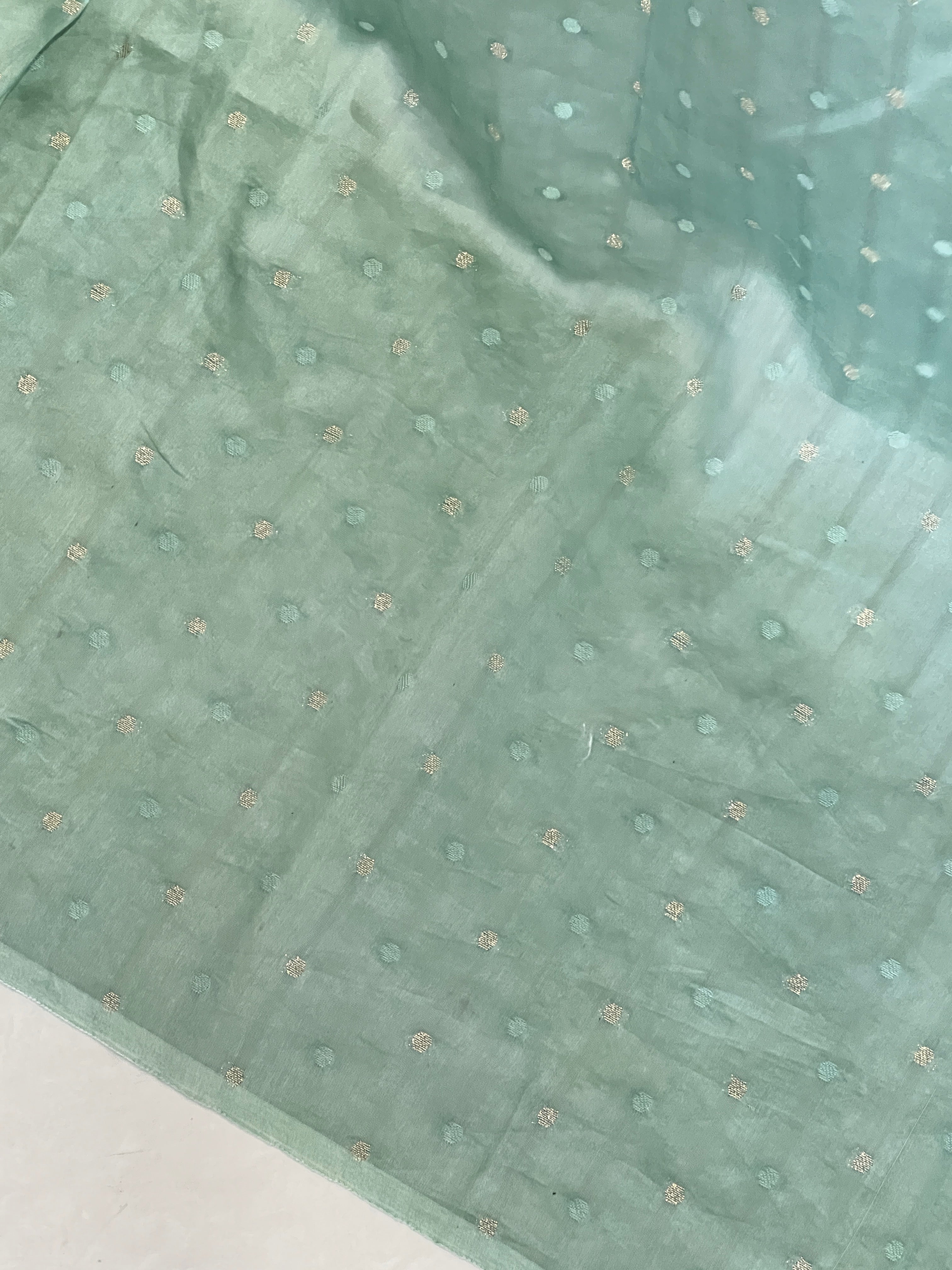 Floral Applique Work Organza Saree | MM165