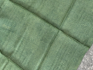 Screen Printed Tussar Saree | YNG403