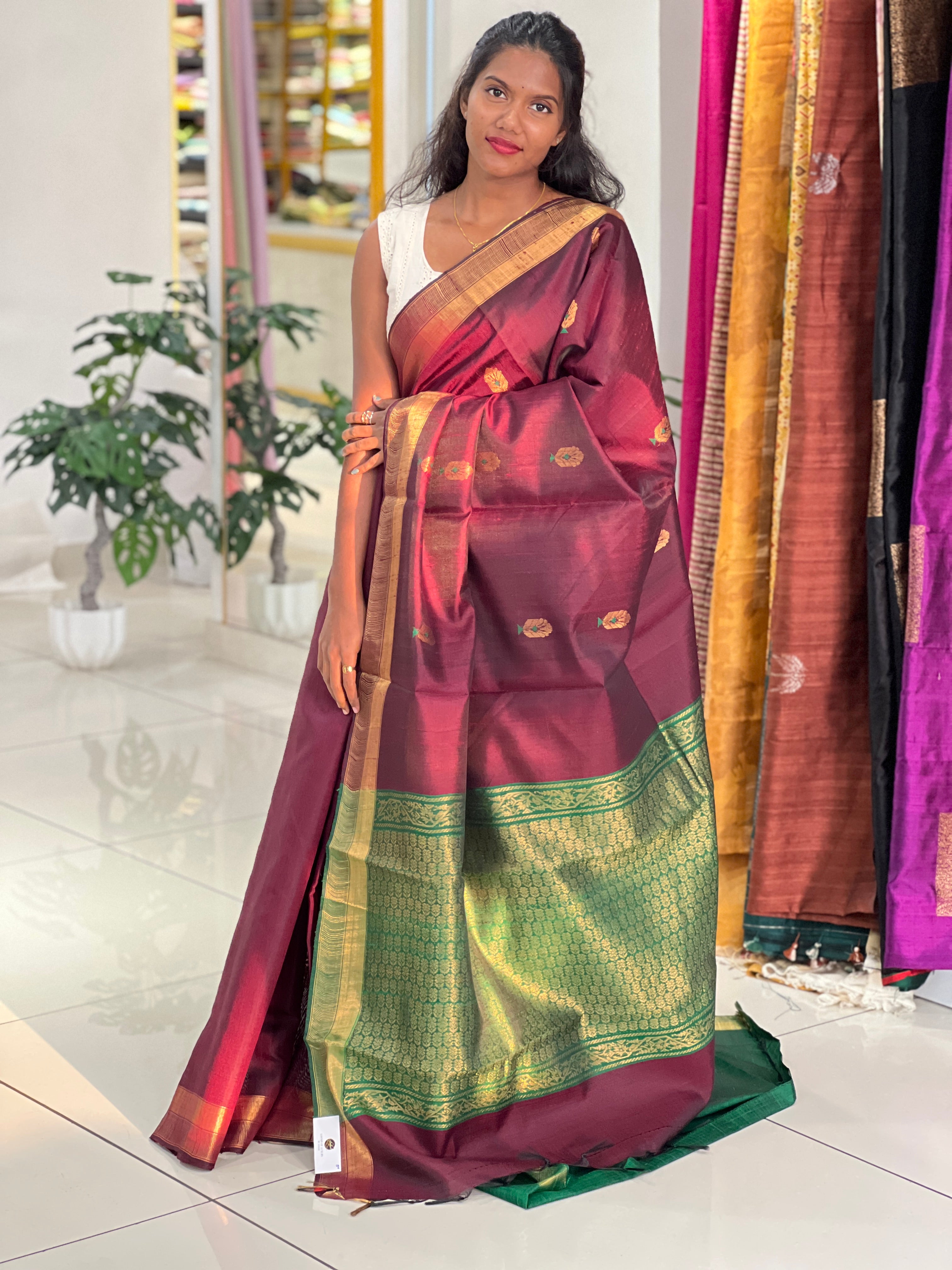 Zari Woven Raw Silk Saree | HS1347