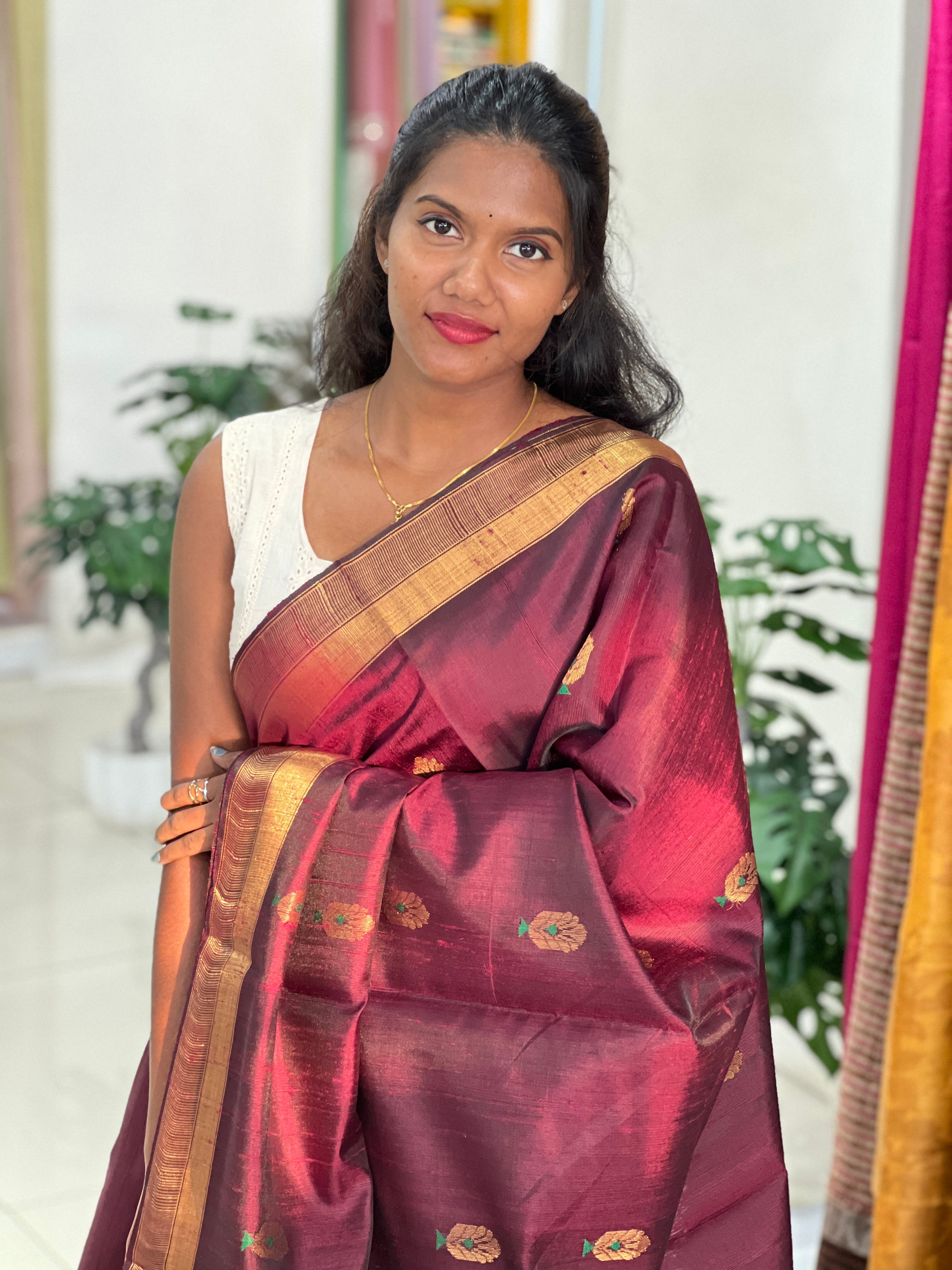 Zari Woven Raw Silk Saree | HS1347