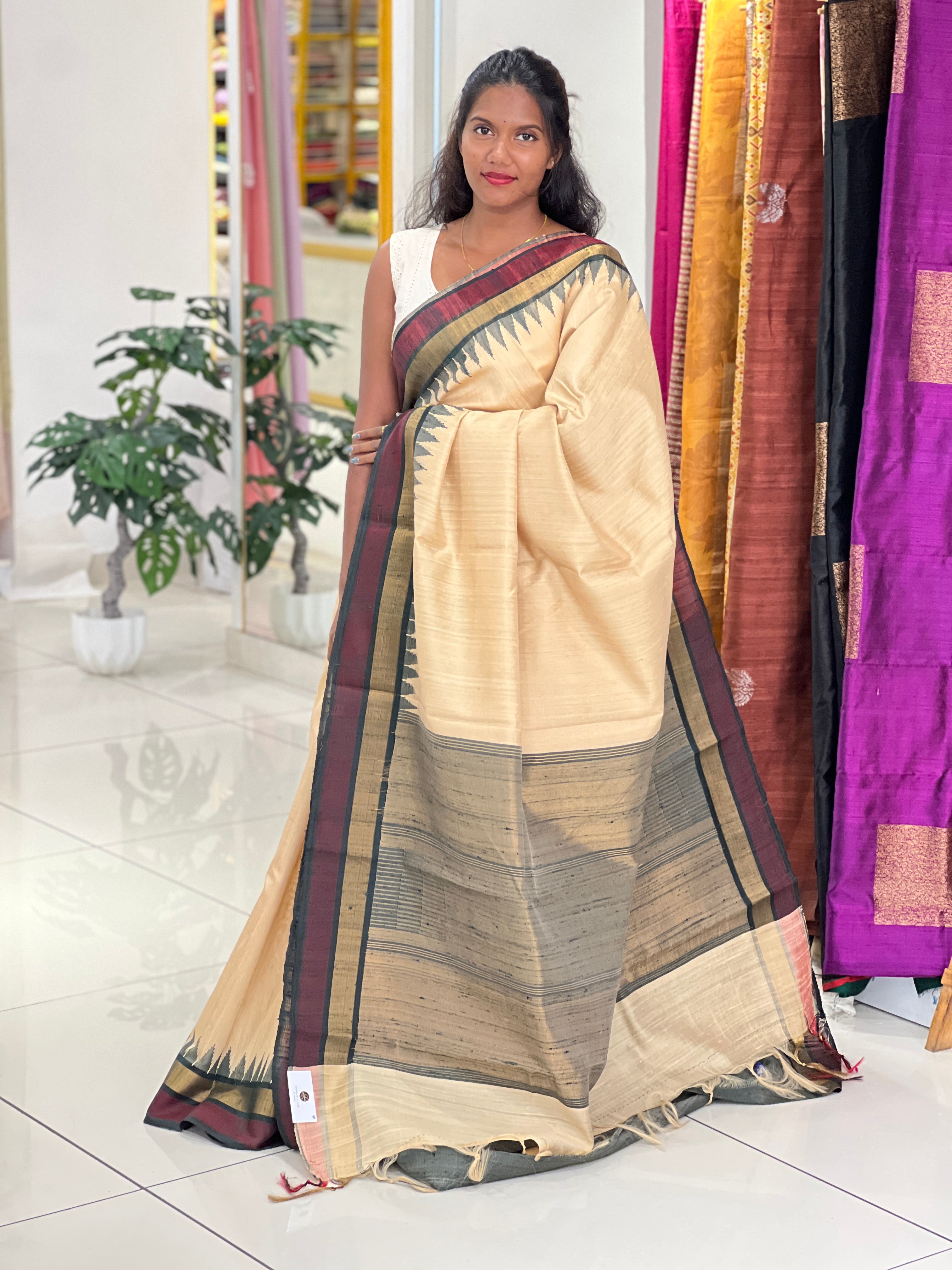 Zari Woven Raw Silk Saree | HS1345