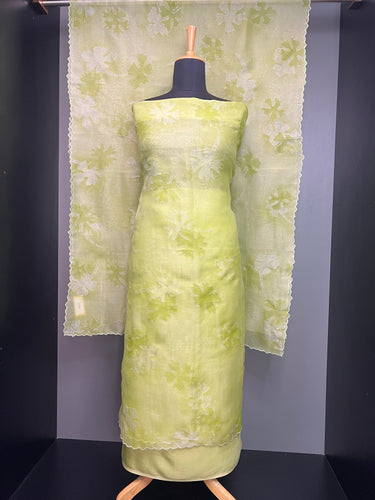 Floral Lurex Yarns Detailed Pure Organza Salwar Set | SBS1397