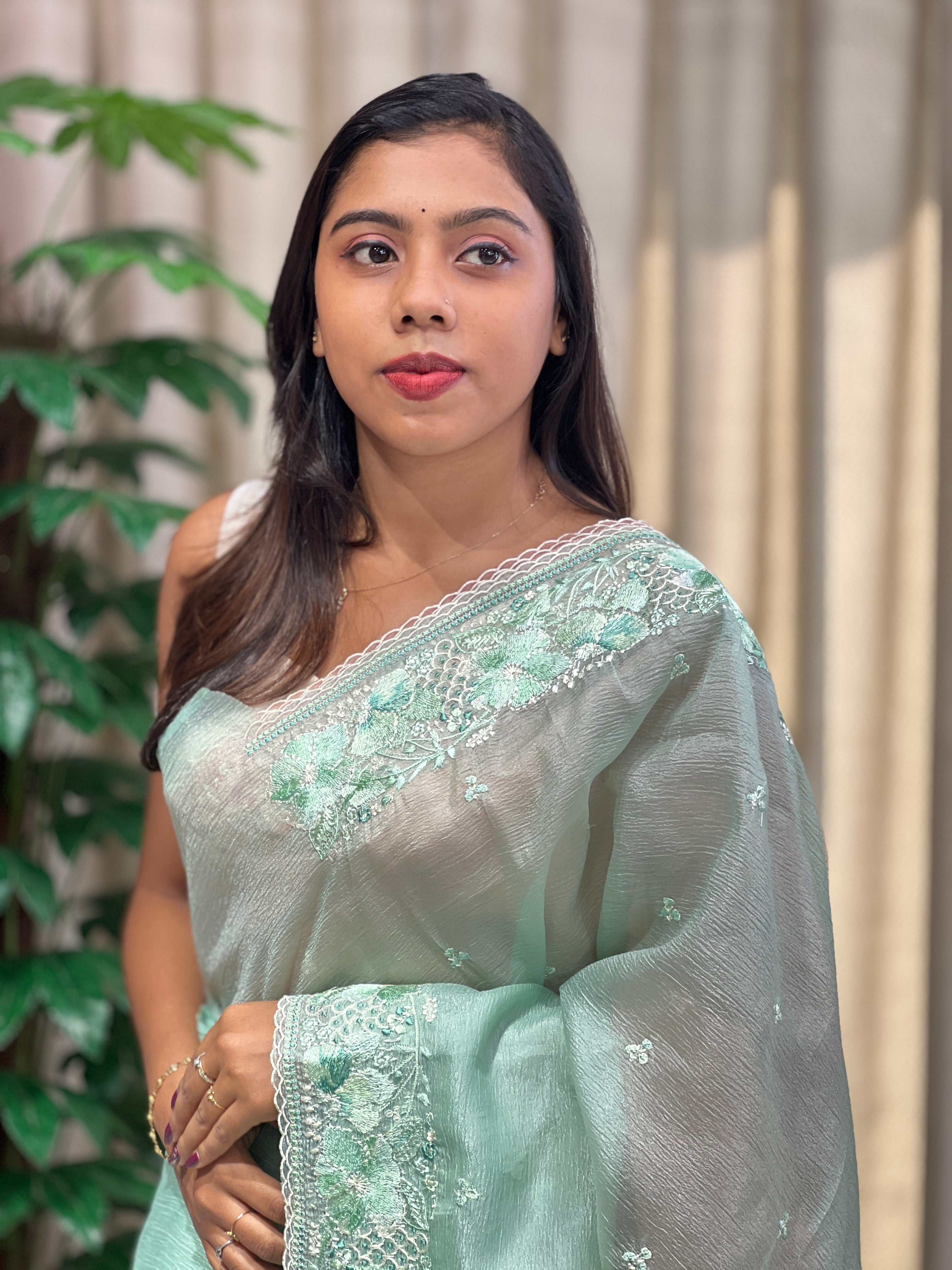 Floral Embroidery Detailed Crushed Shimmer Organza Saree | BLD2091