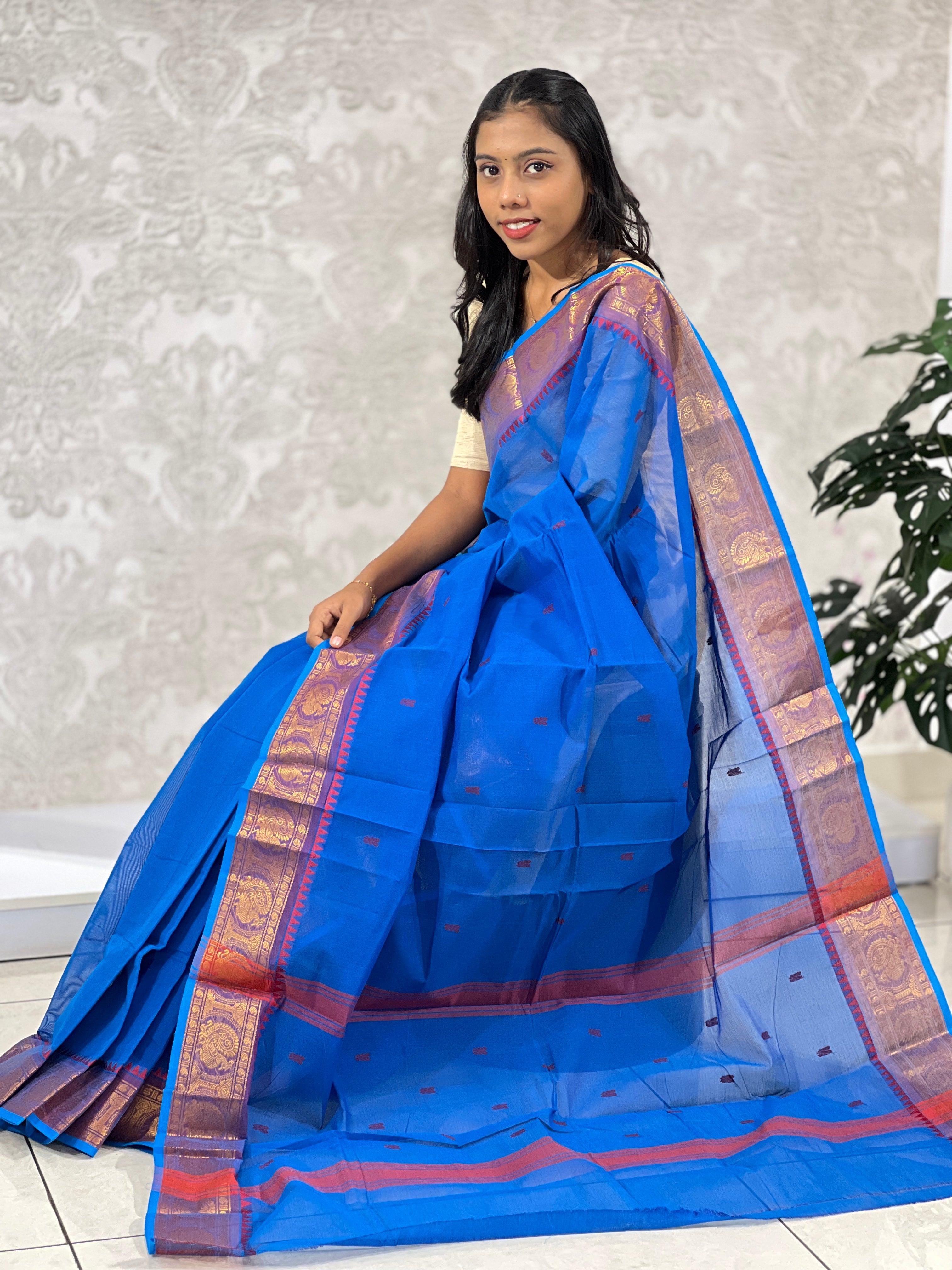 Traditional Kanchi Cotton Saree | VR218