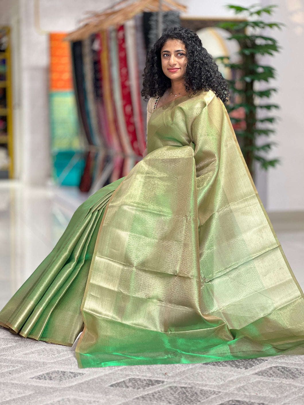 Zari Woven Double Shaded Tissue Organza Saree | KSS101