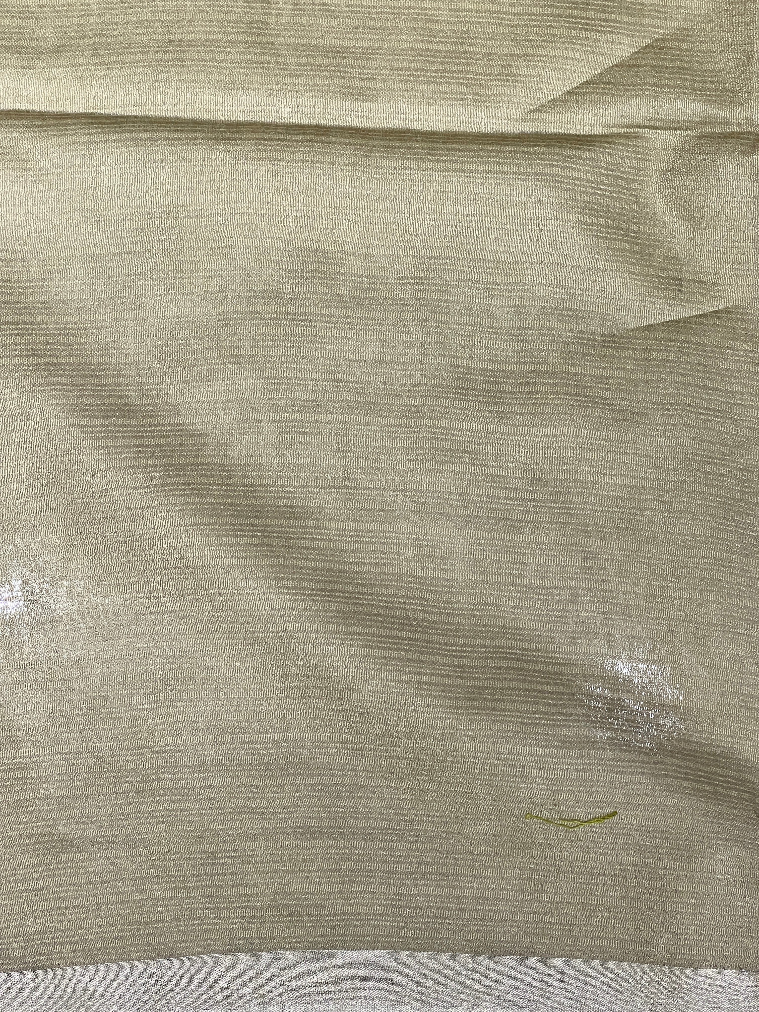 Bhagalpuri Woven Semi Tussar Saree | PF1226