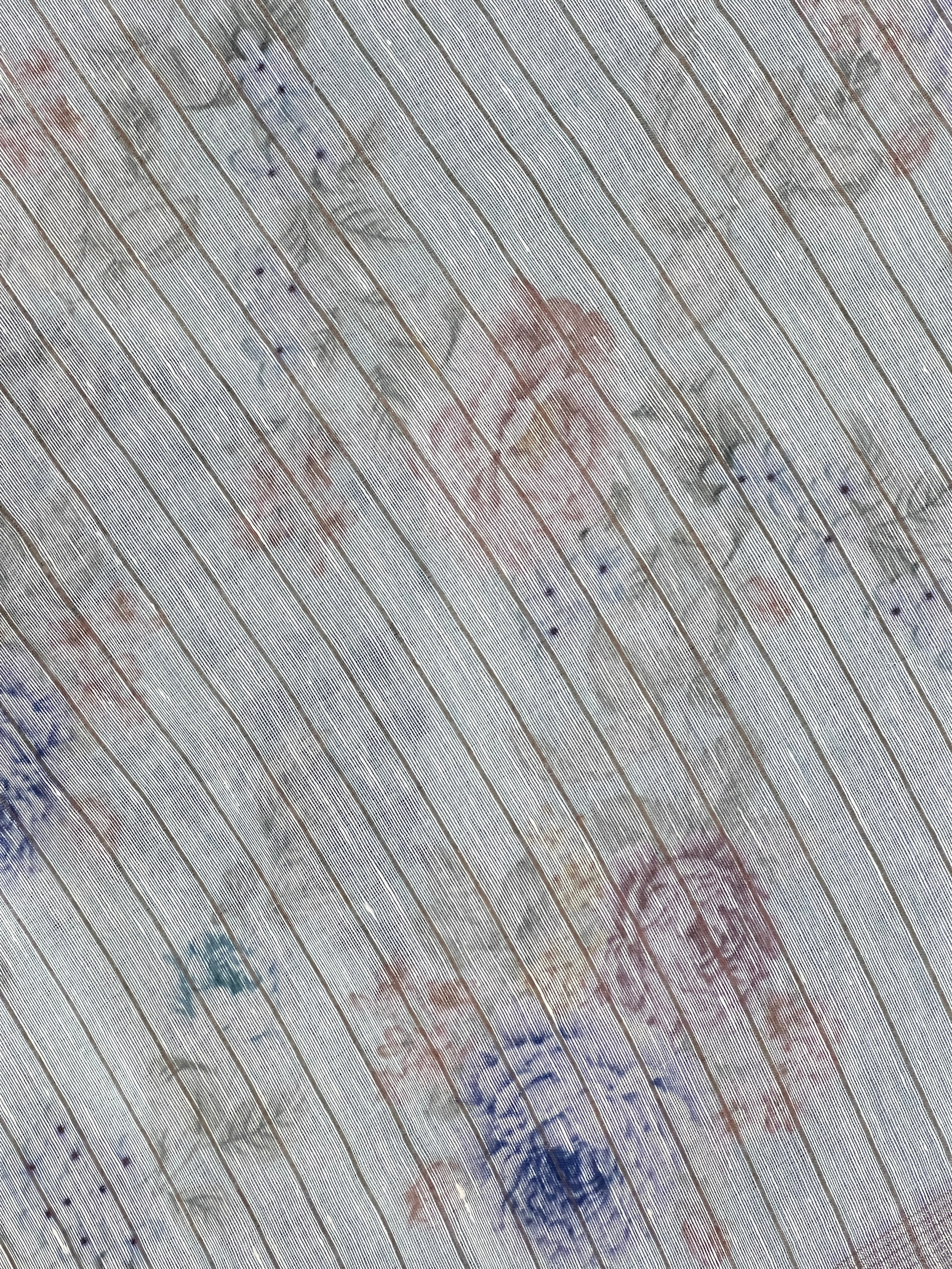 Digital Printed Pure Tussar Saree | RGD752