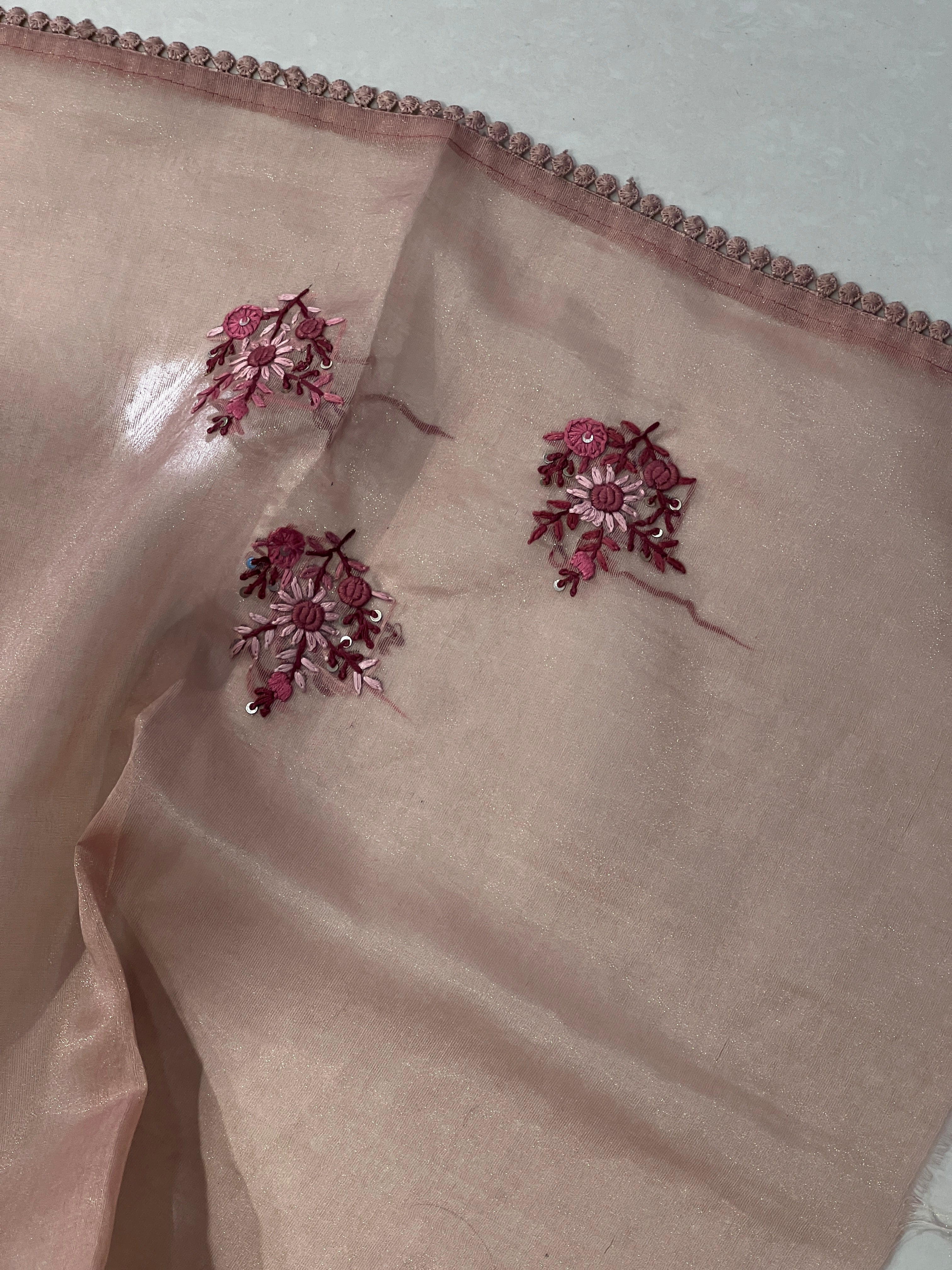 Floral Embroidery Detailed Tissue Organza Saree | BLD1163