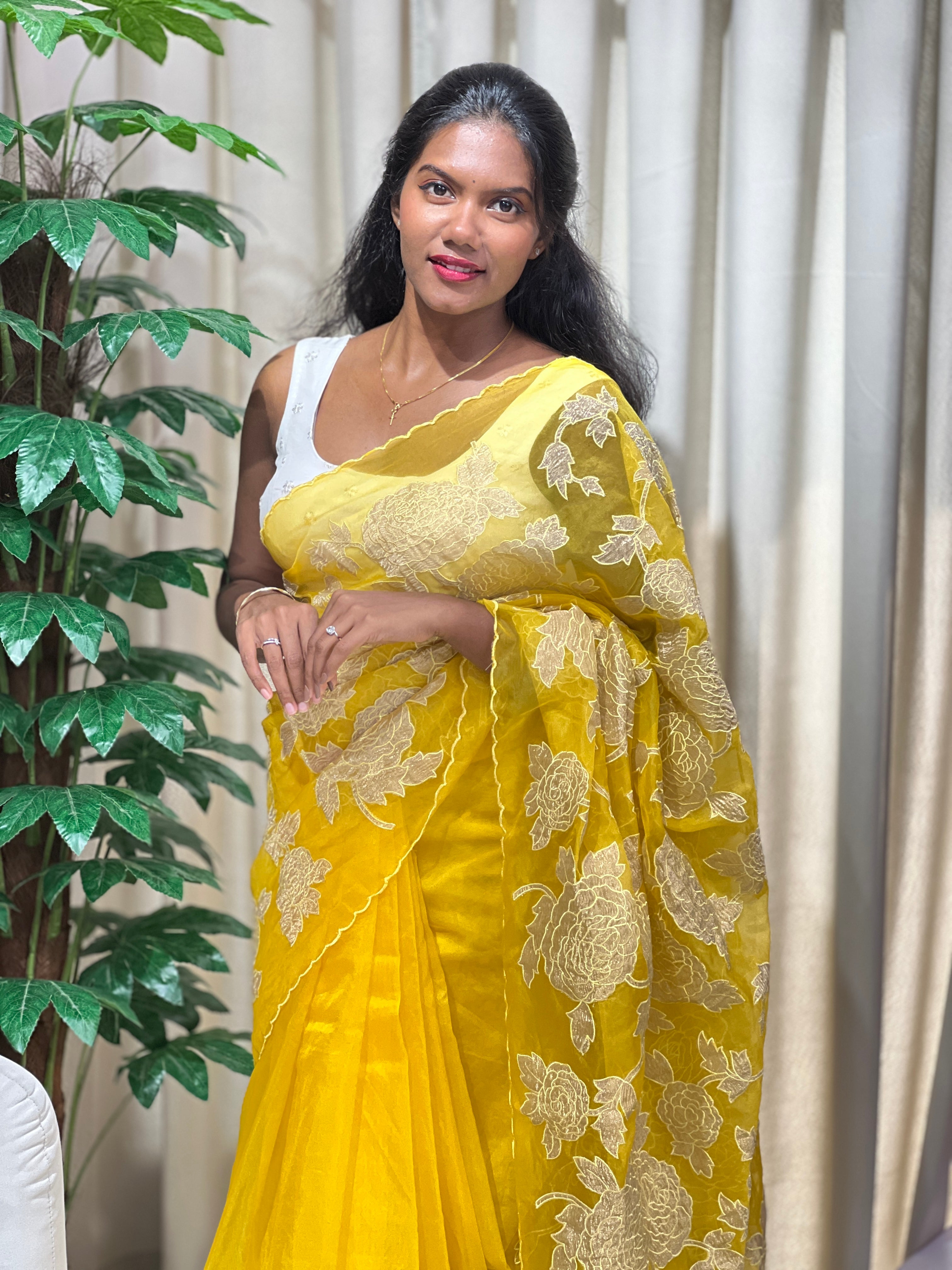 Applique Work Detailed Organza Saree | MM365