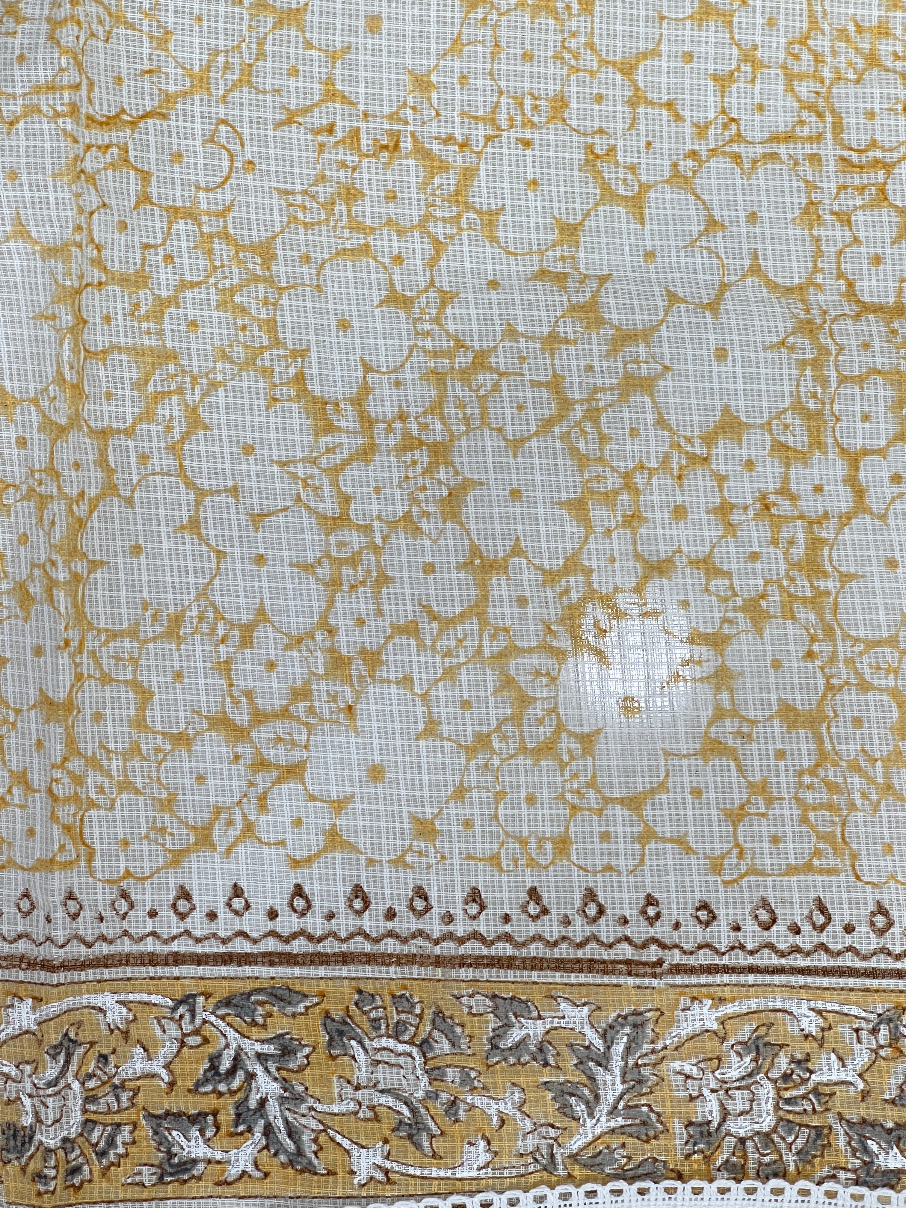 Paisley Printed Muga Check Organza Saree | PF1219