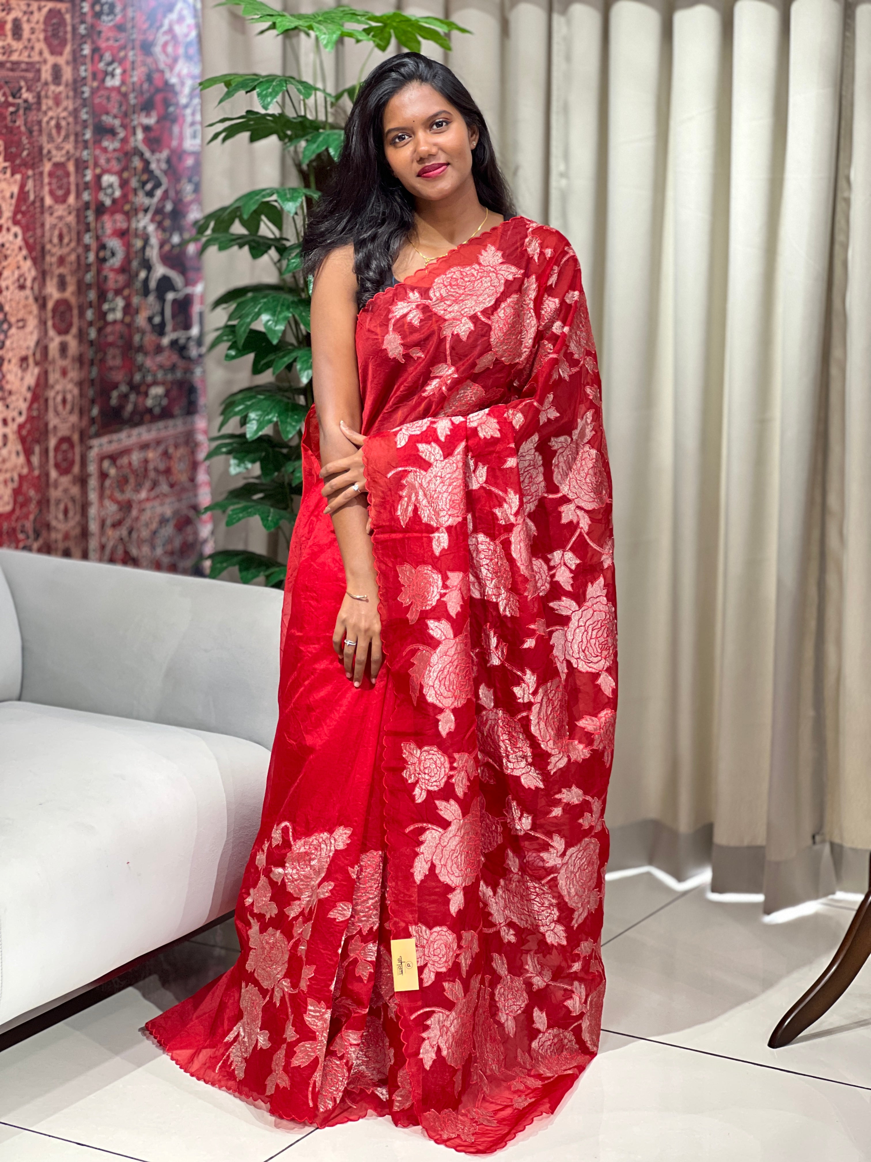 Applique Work Detailed Organza Saree | MM364