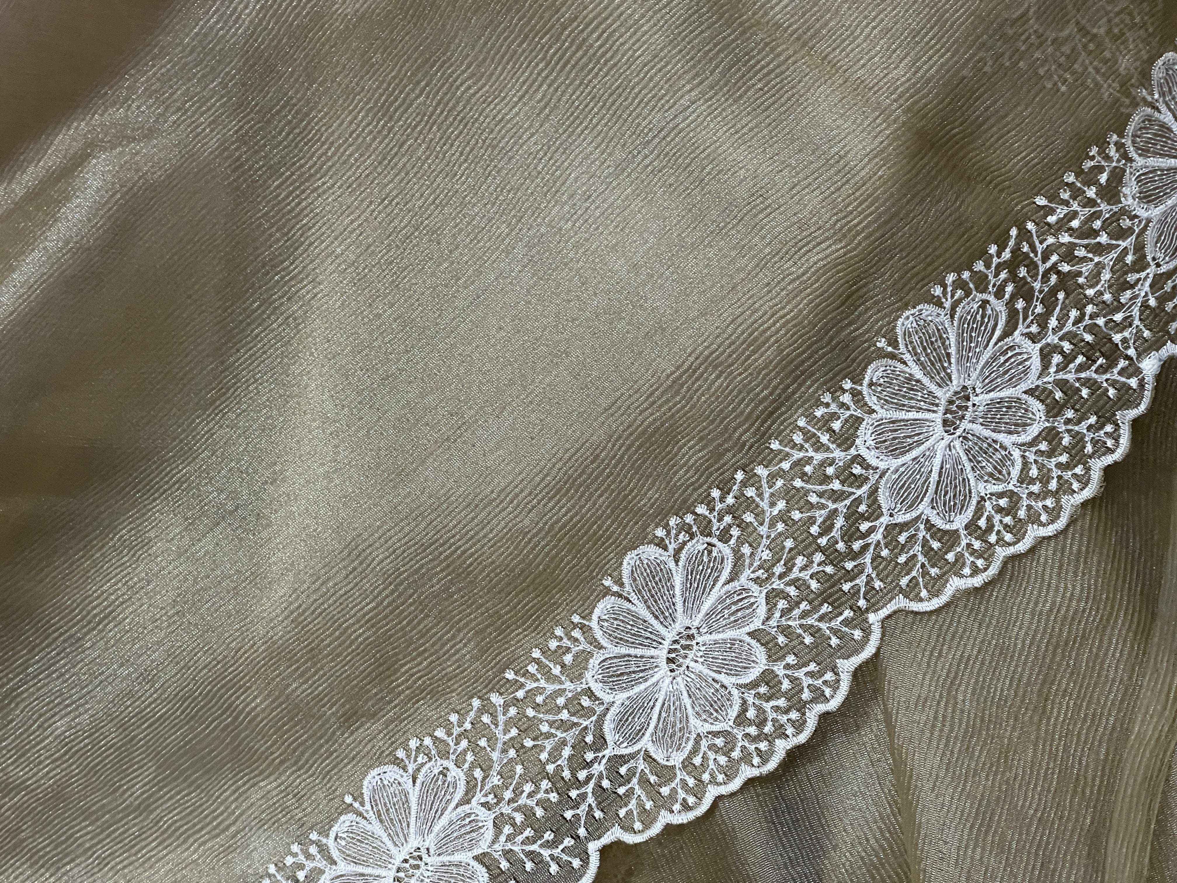 Machine Embroidery Tissue Organza Saree  |  BLD1147