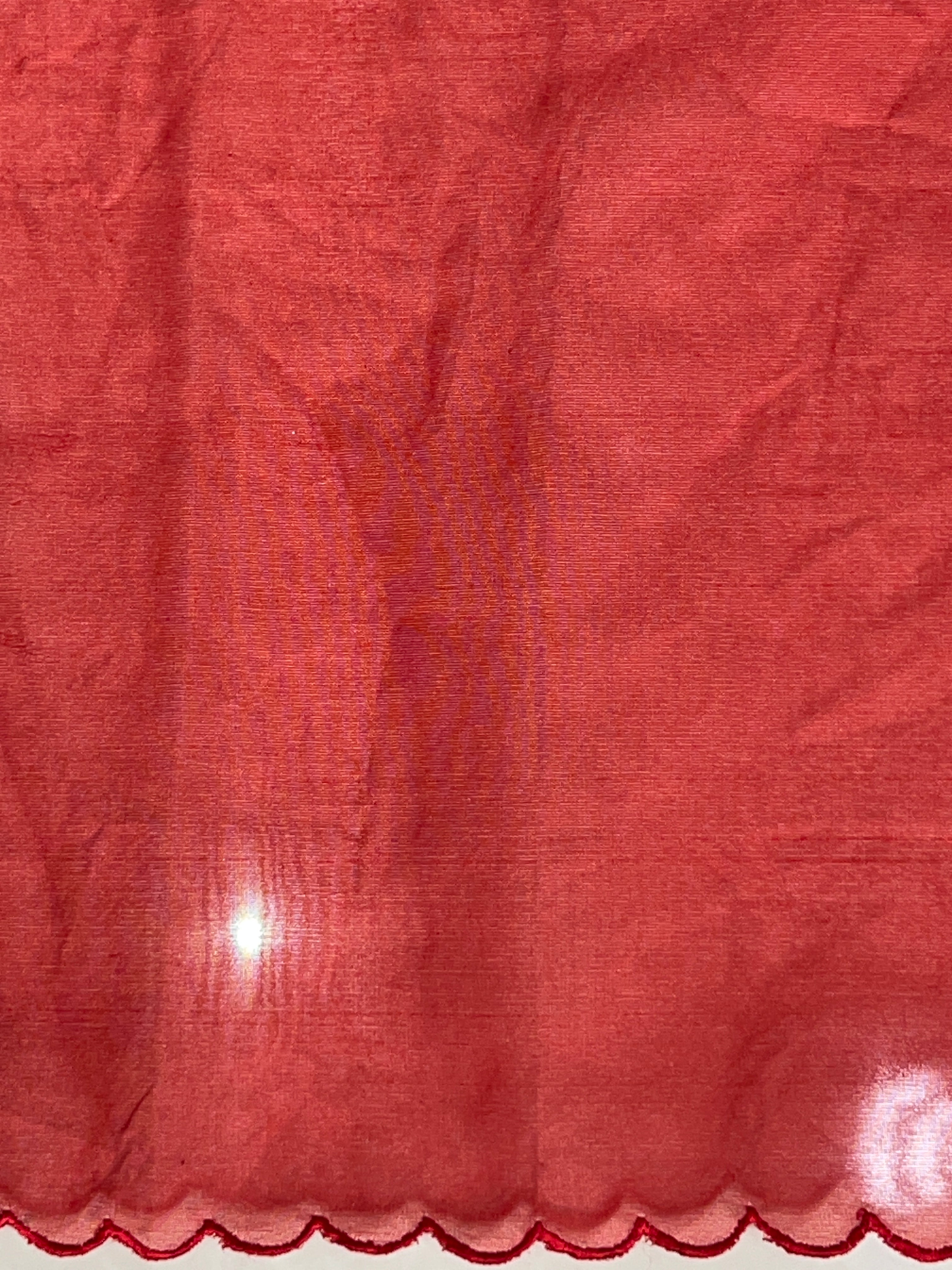 Applique Work Detailed Organza Saree | MM364