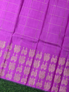 Chikku Colour Digital Printed Kanchipuram Saree | AK114