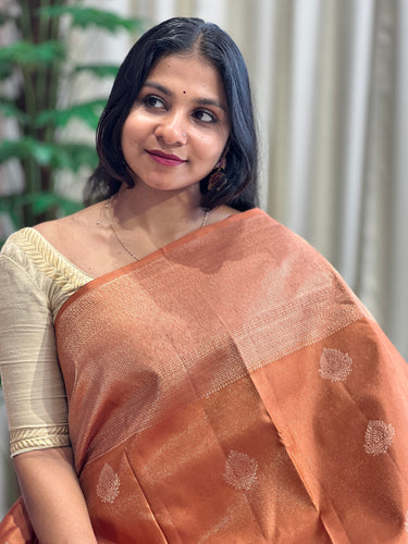 Handloom Kanchipuram Saree | OM236