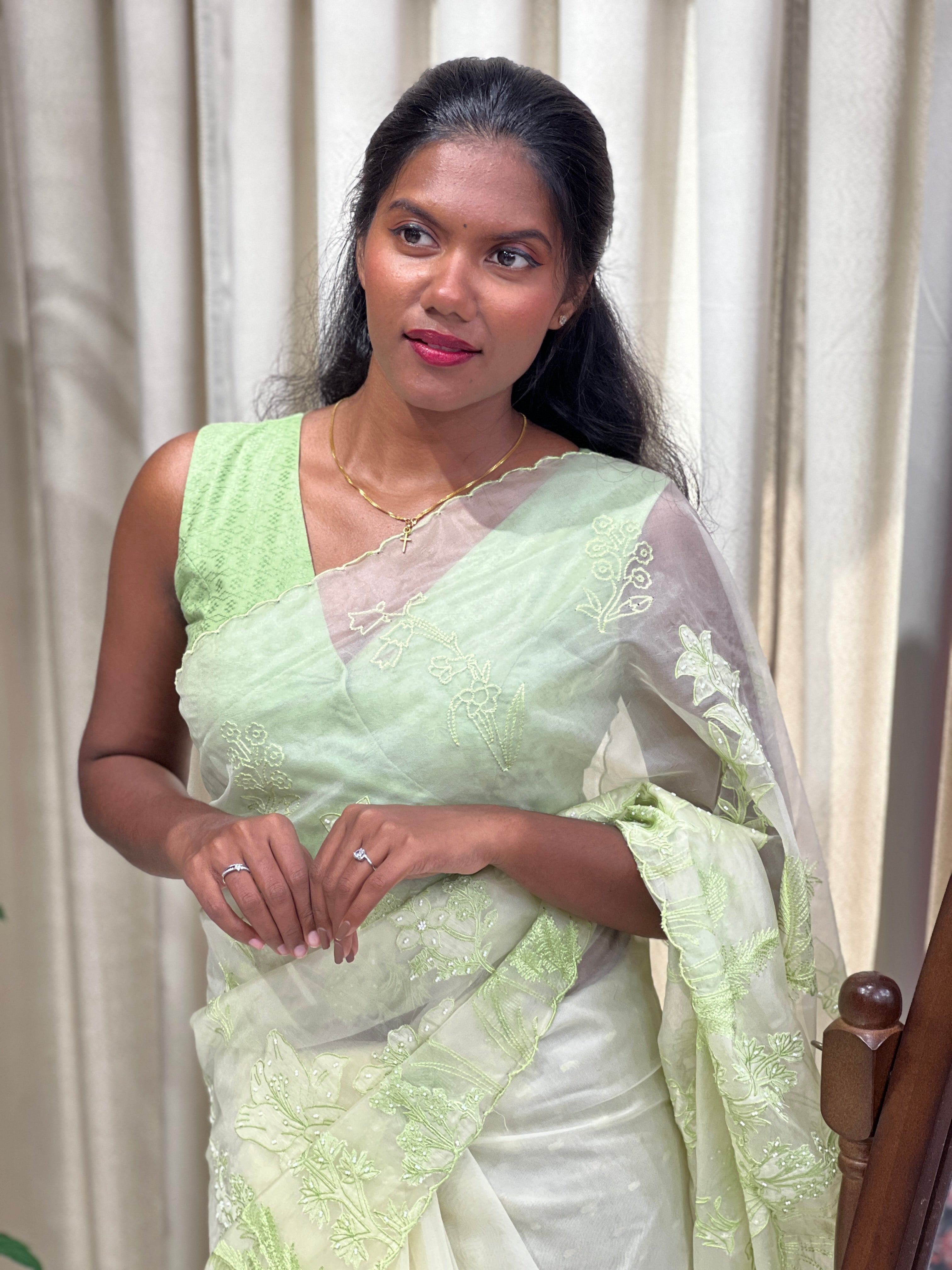 Applique Patterned Organza Saree | MM342