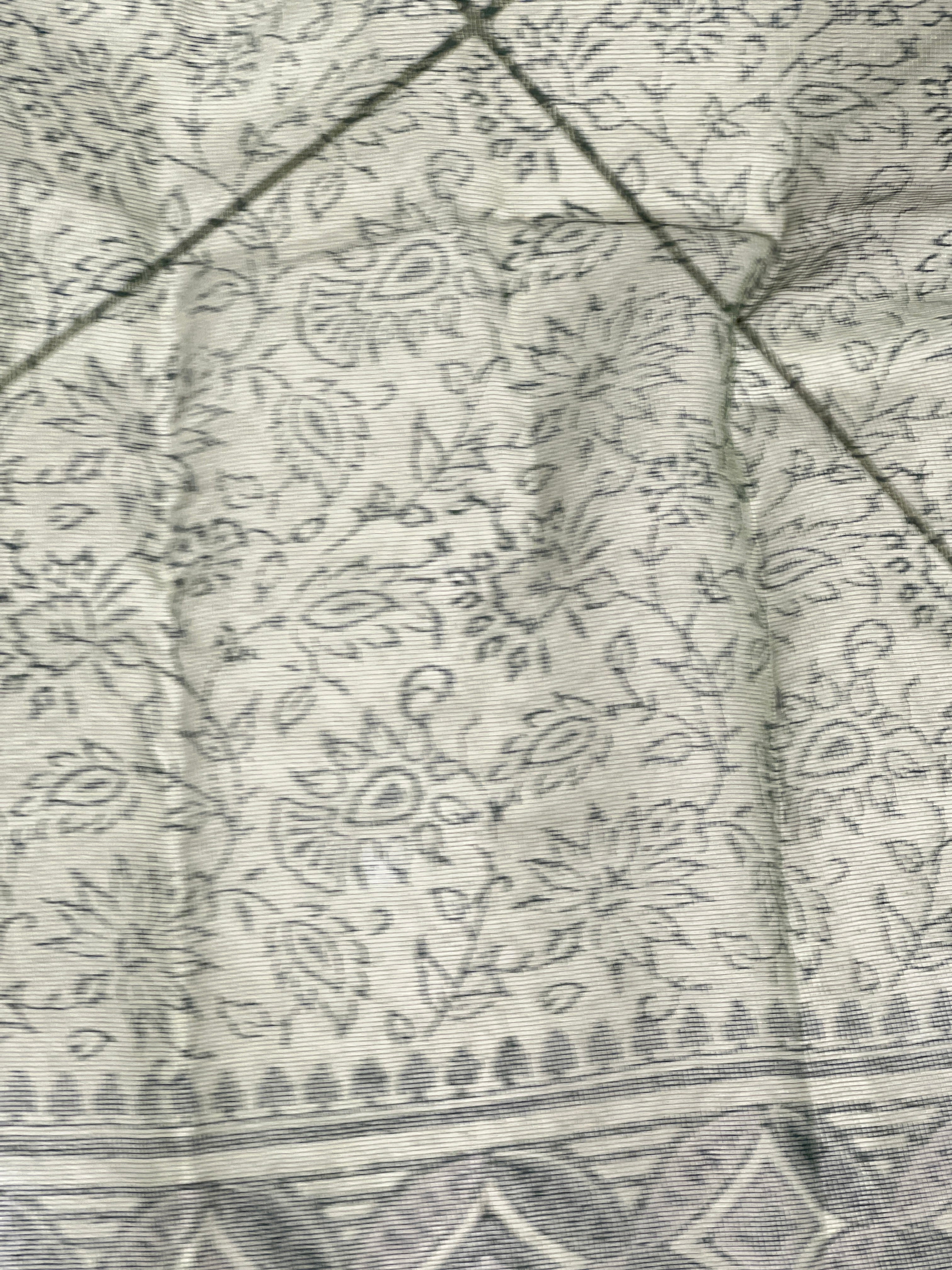 Block Printed Muga Check Organza Saree | PF1192