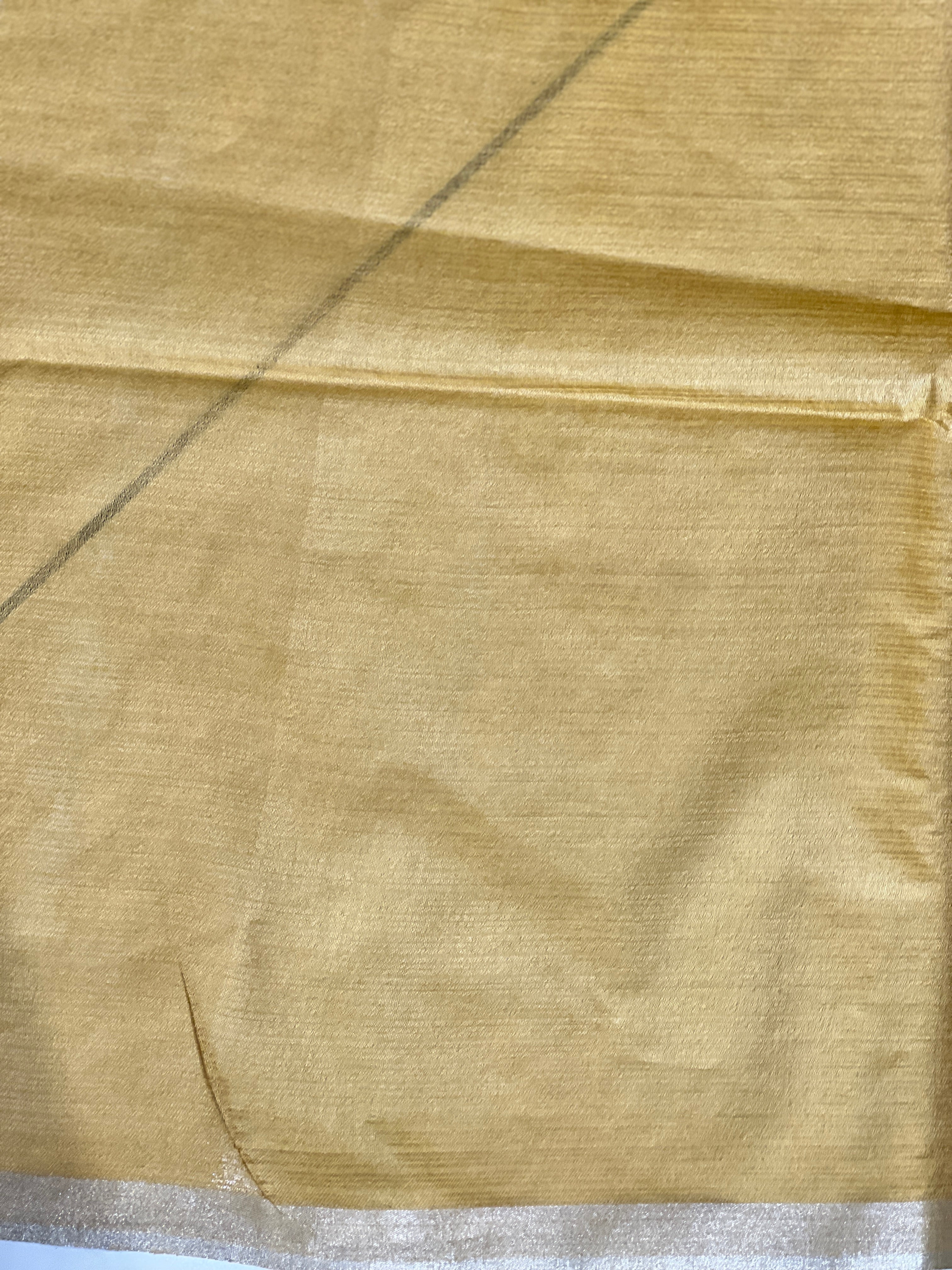 Bhagalpuri Woven Semi Tussar Saree | PF1233