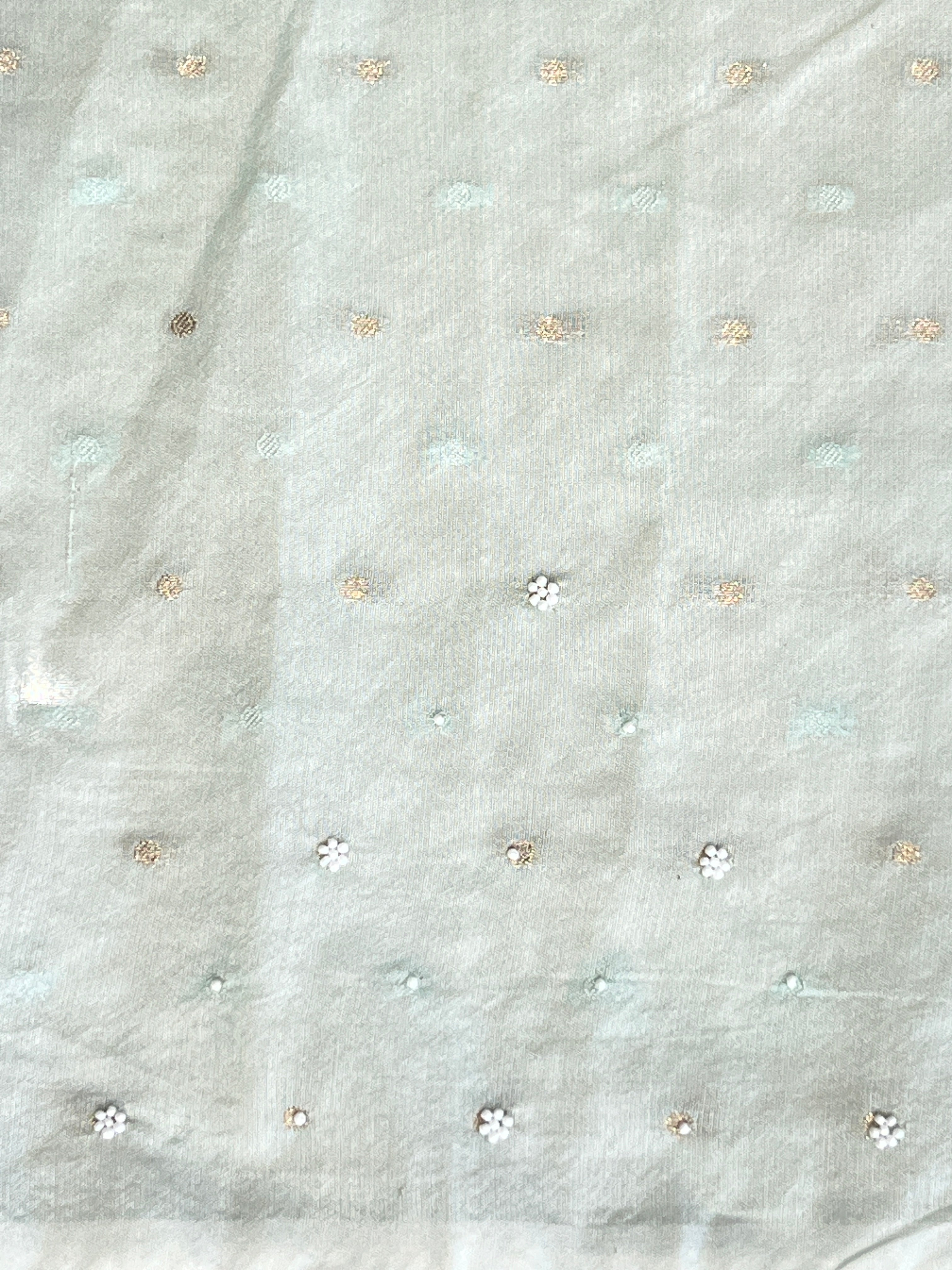 Applique Patterned Organza Saree | MM335