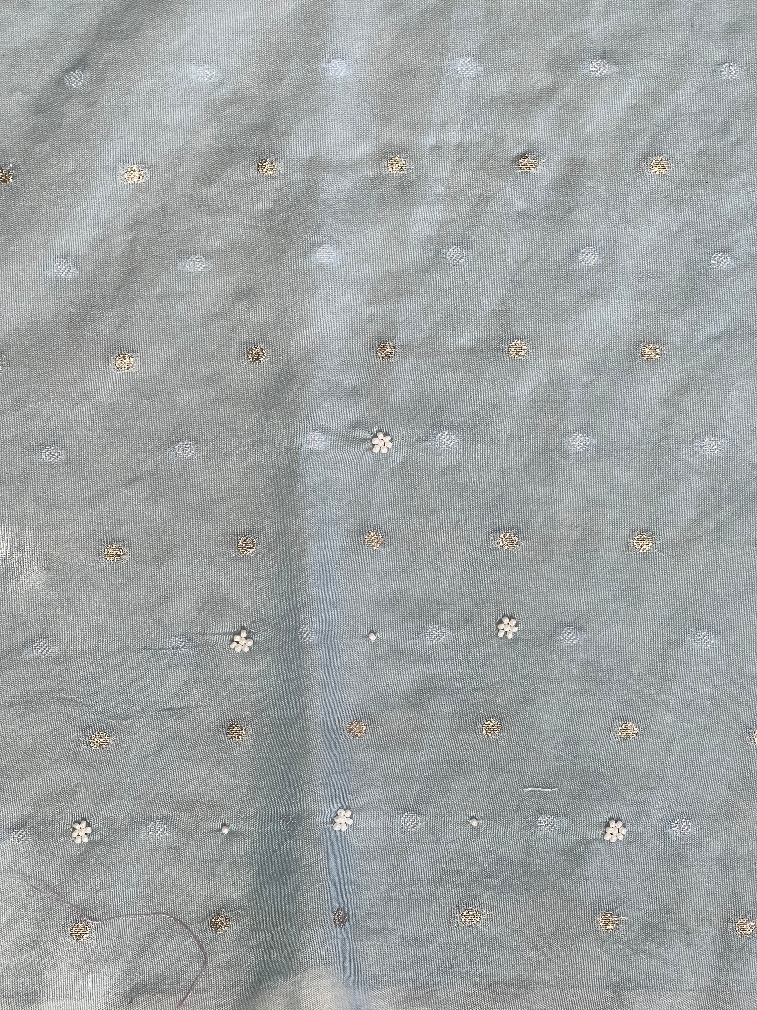 Applique Patterned Organza Saree | MM341