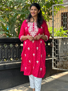 Chikankari Hand Embroidered Rayon Kurta | PIR114