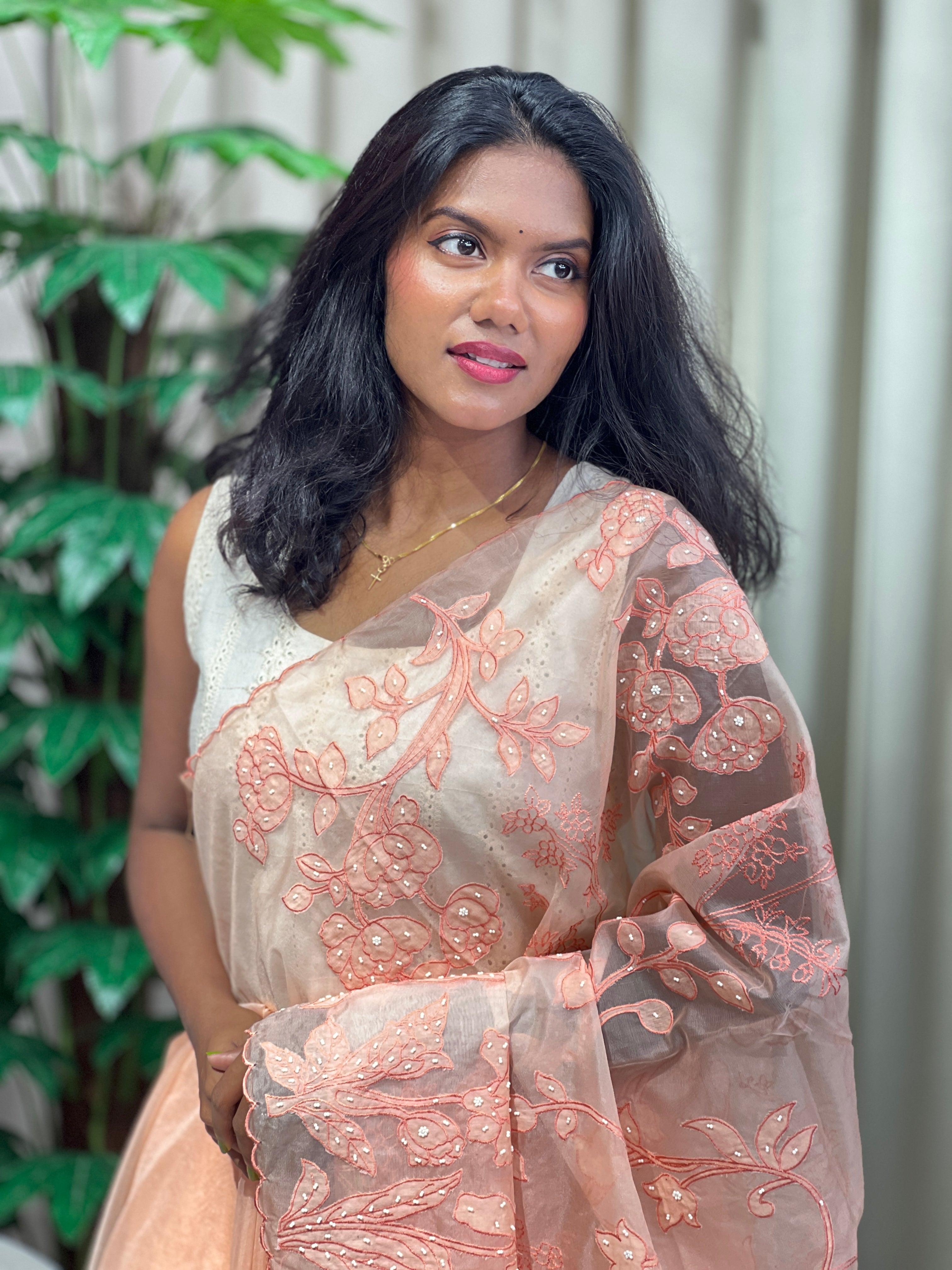 Applique Patterned Organza Saree | MM337