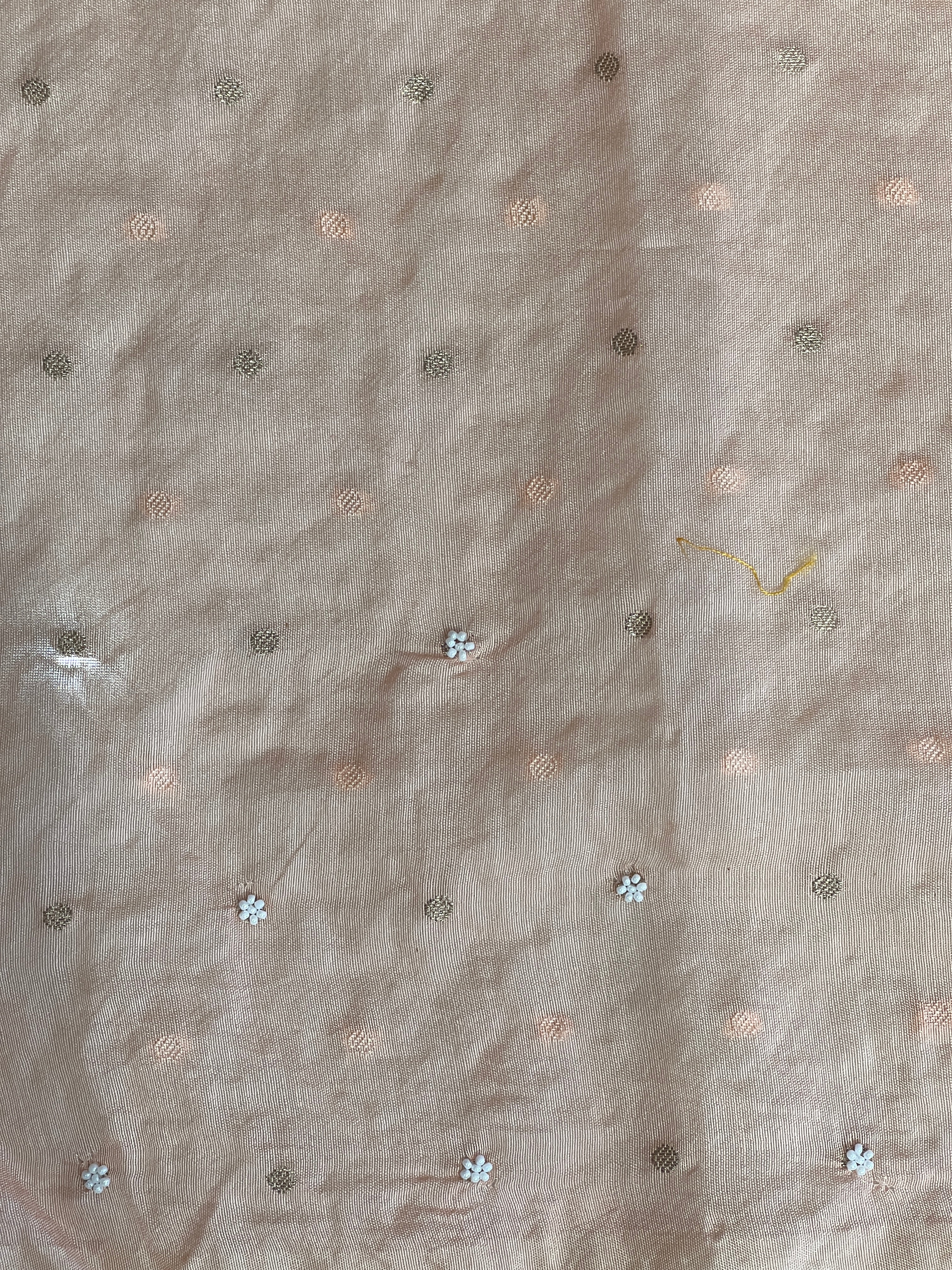 Applique Patterned Organza Saree | MM337