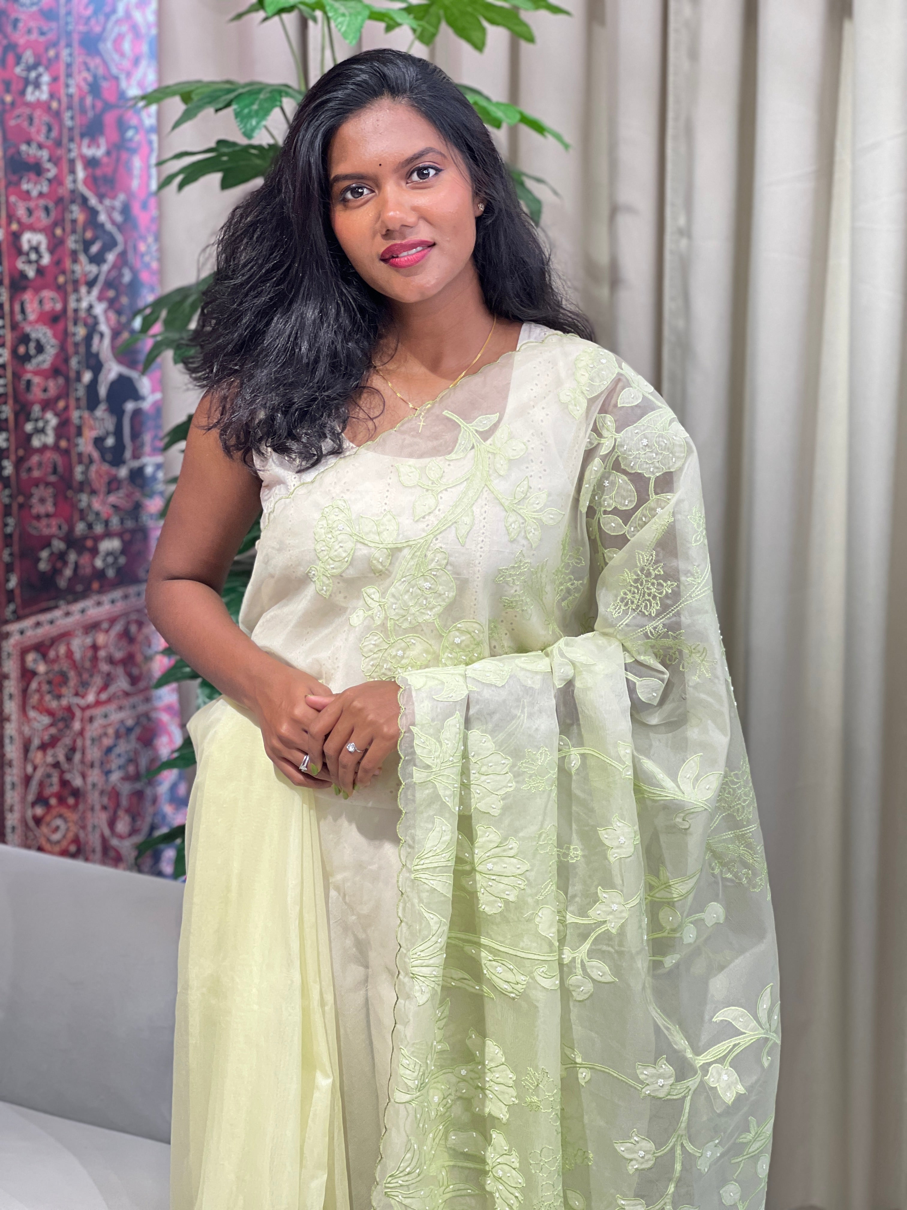 Applique Patterned Organza Saree | MM336