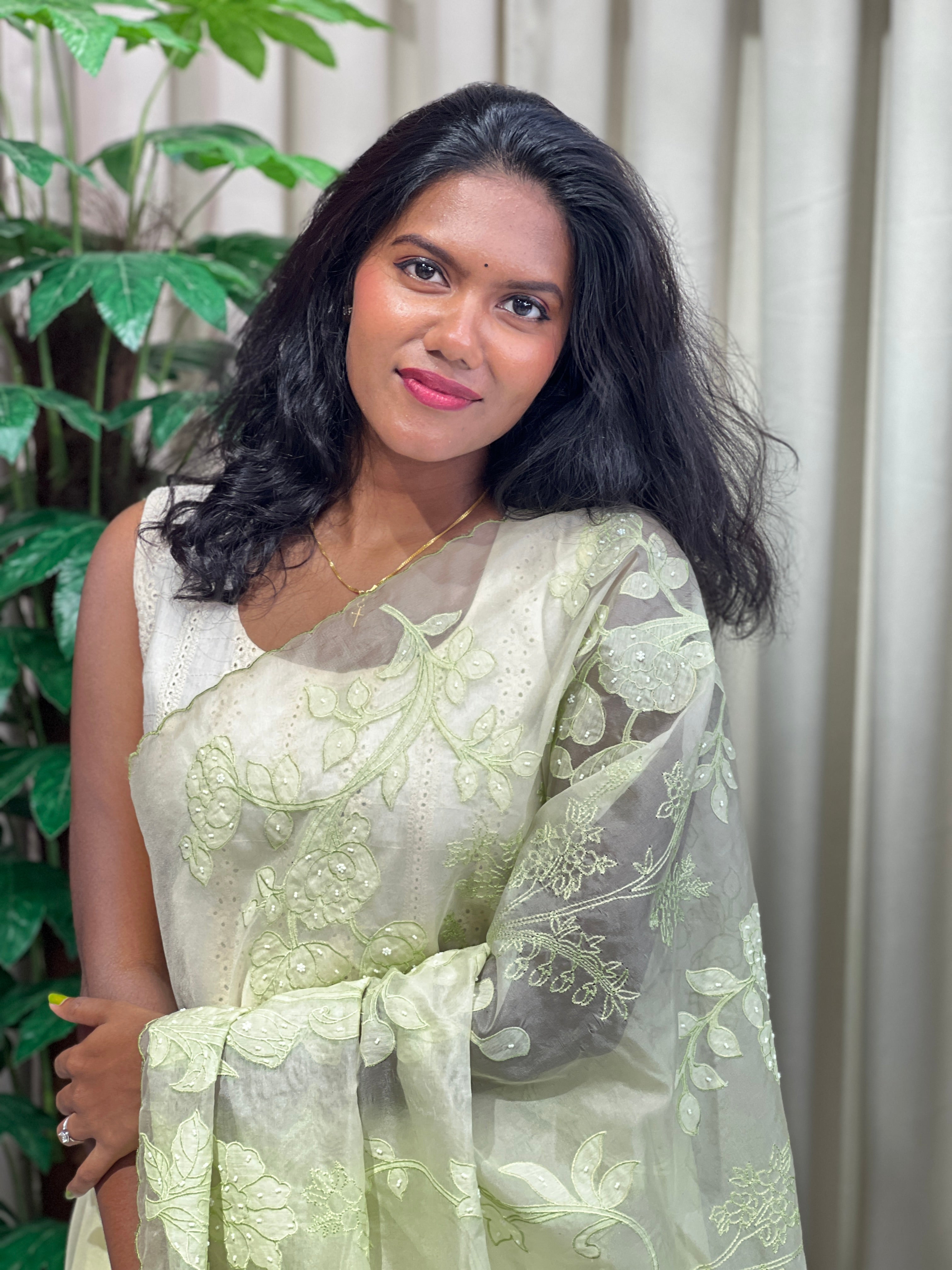 Applique Patterned Organza Saree | MM336