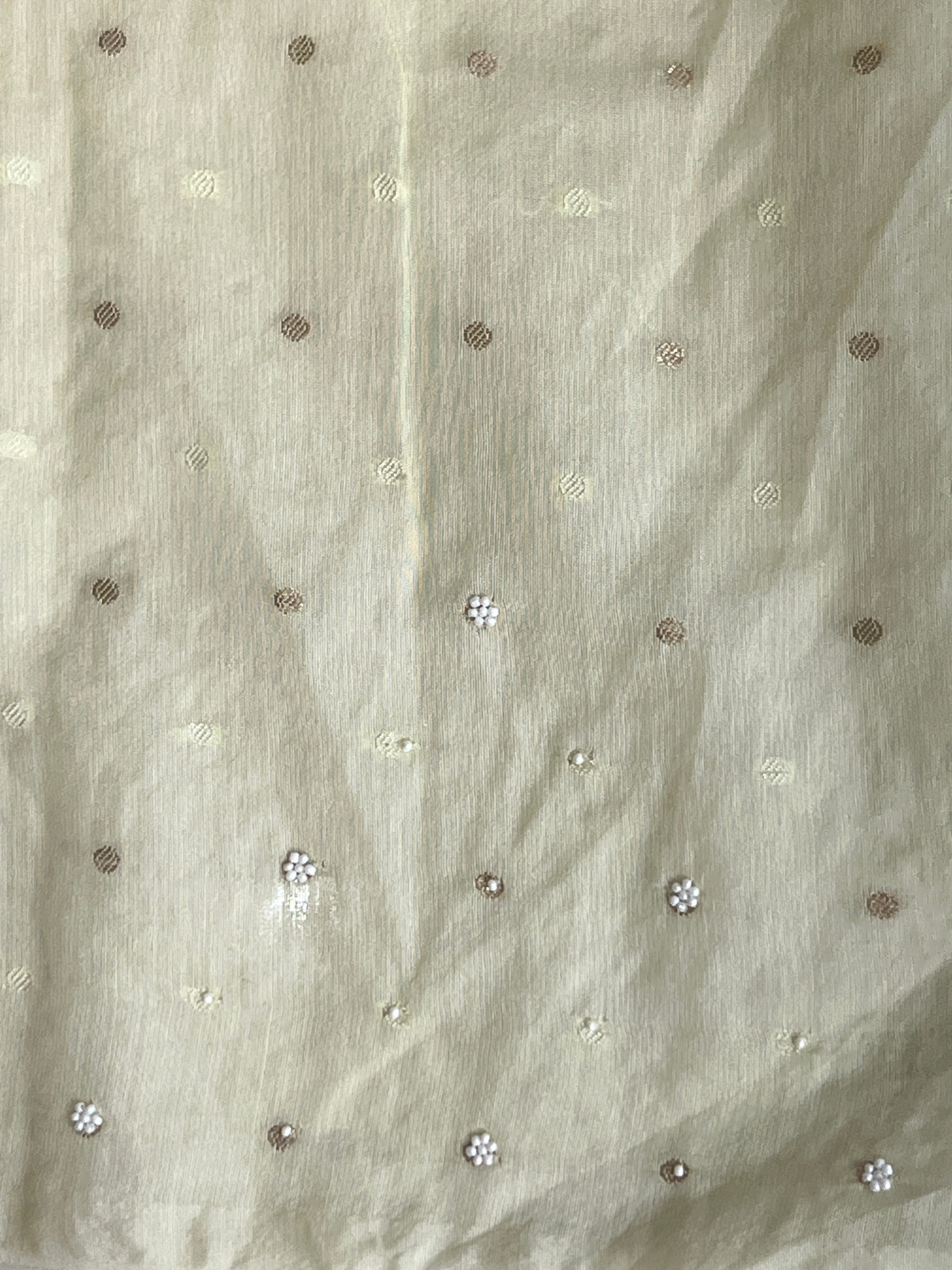 Applique Patterned Organza Saree | MM336