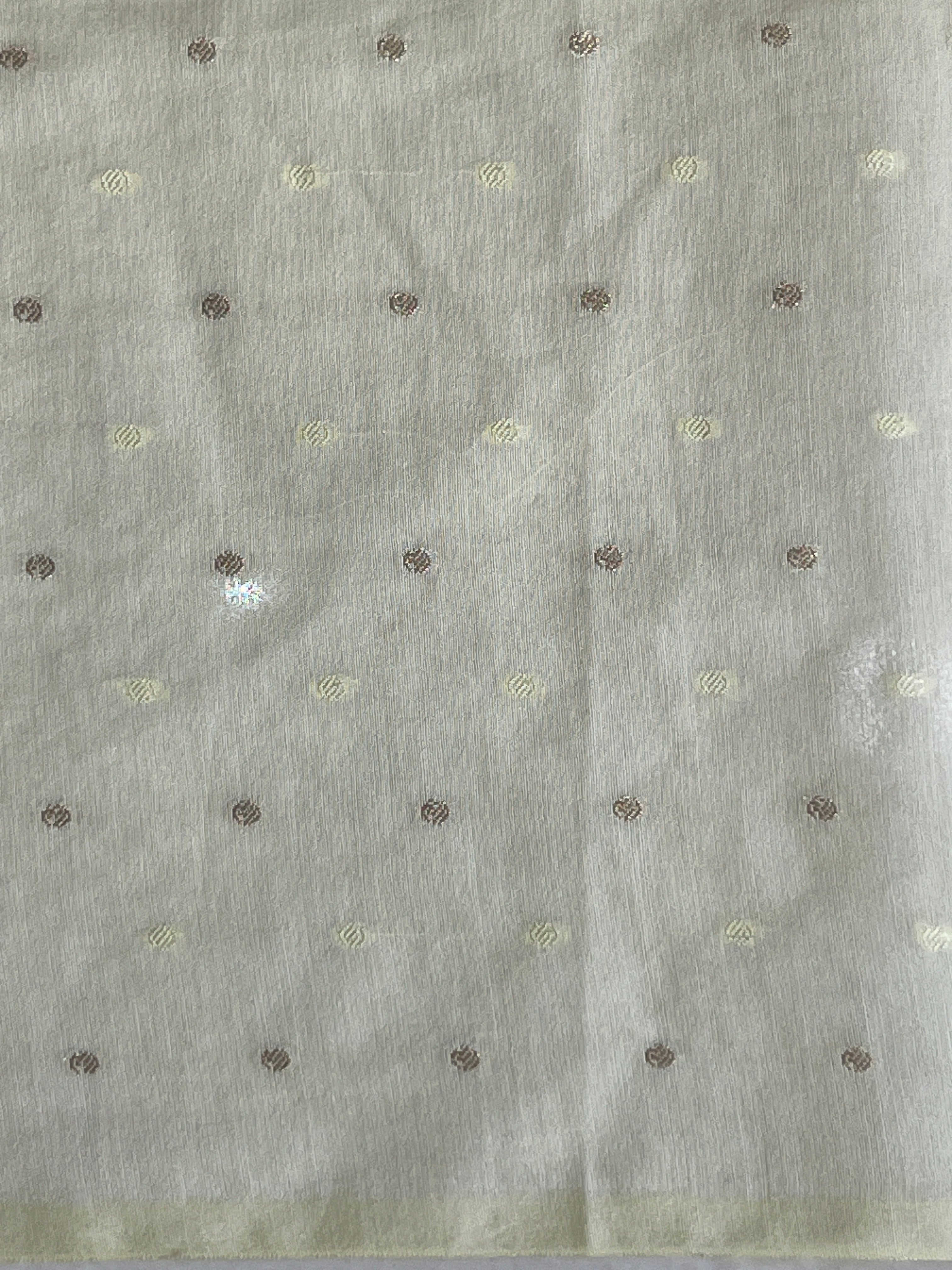 Floral Applique Tissue Organza Saree | MM334