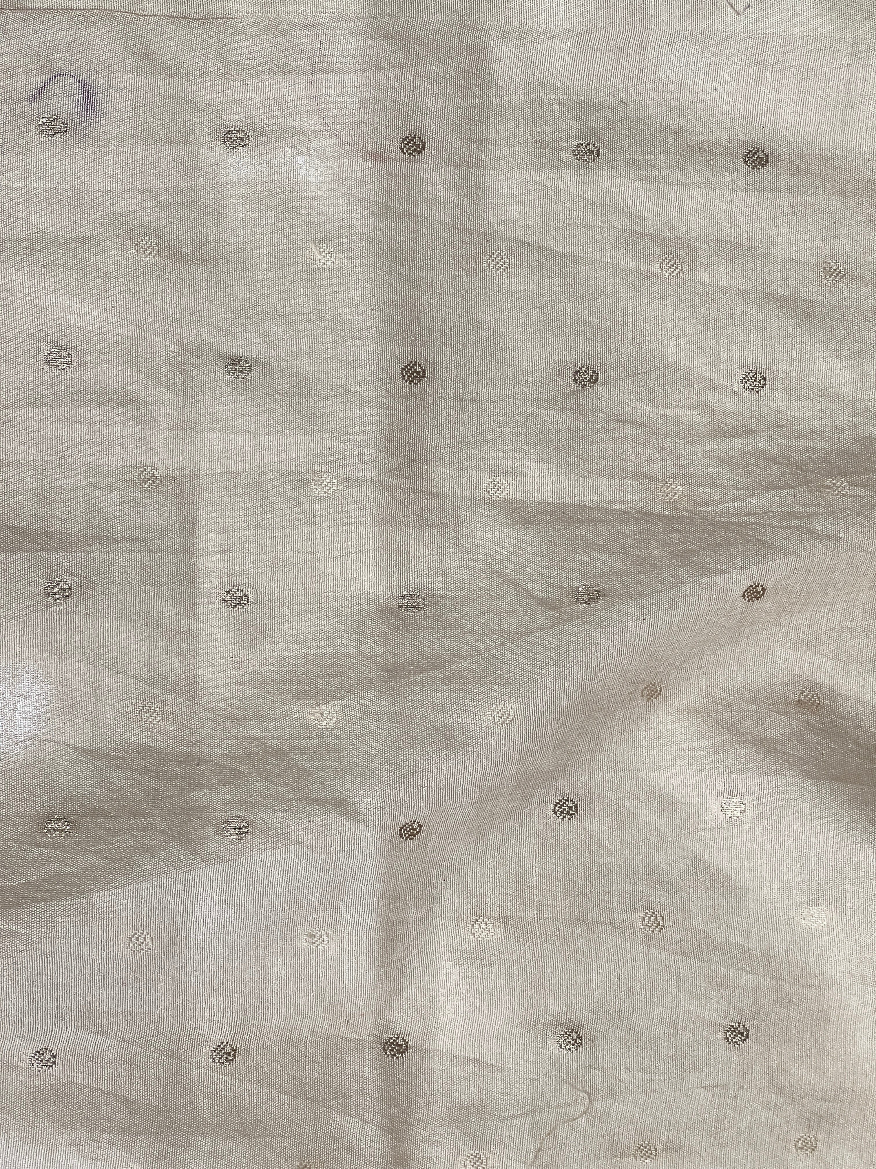 Floral Applique Tissue Organza Saree | MM331