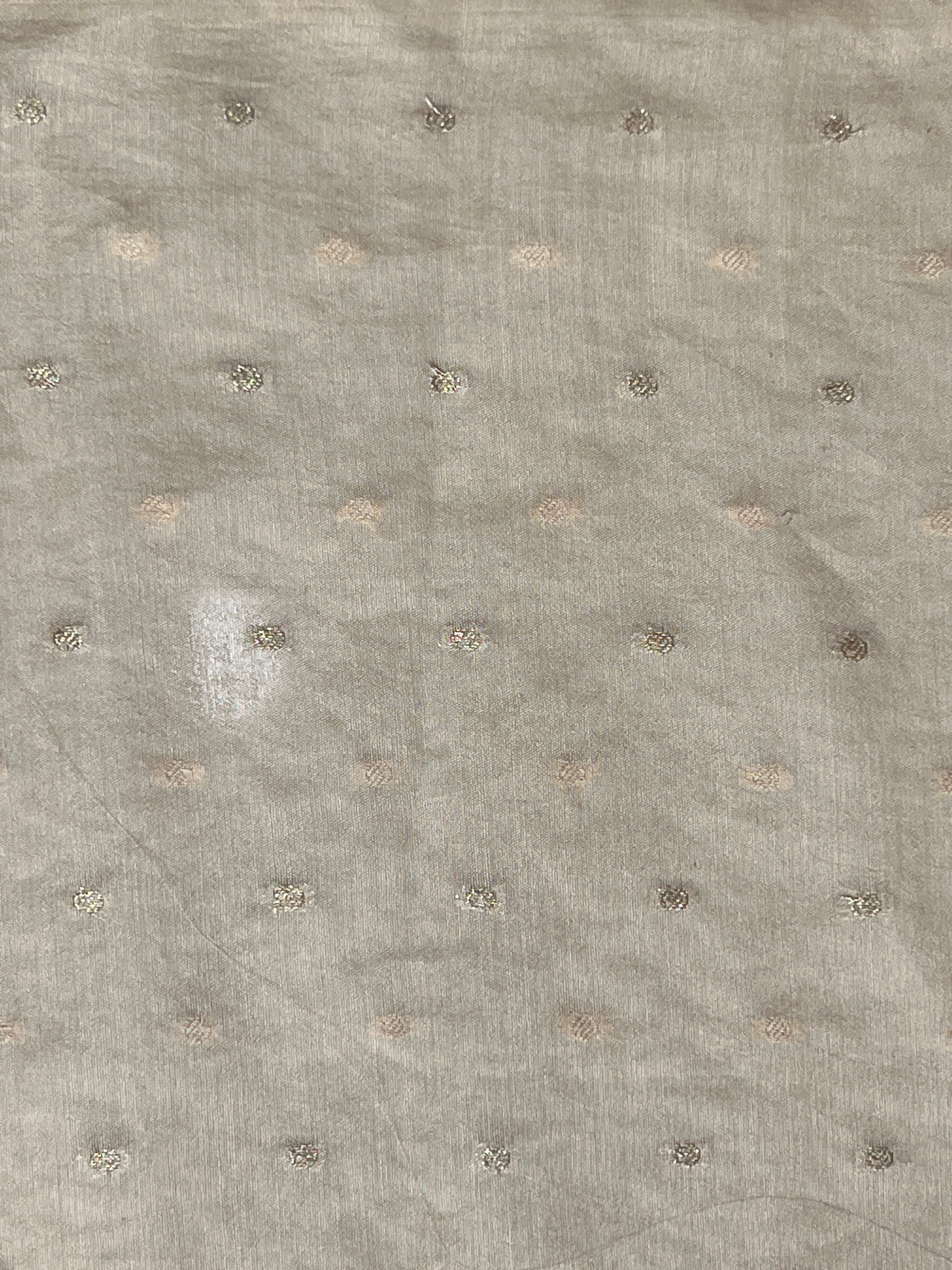 Floral Applique Tissue Organza Saree | MM332