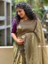 Party Wear Shimmer Organza Saree | SBP204