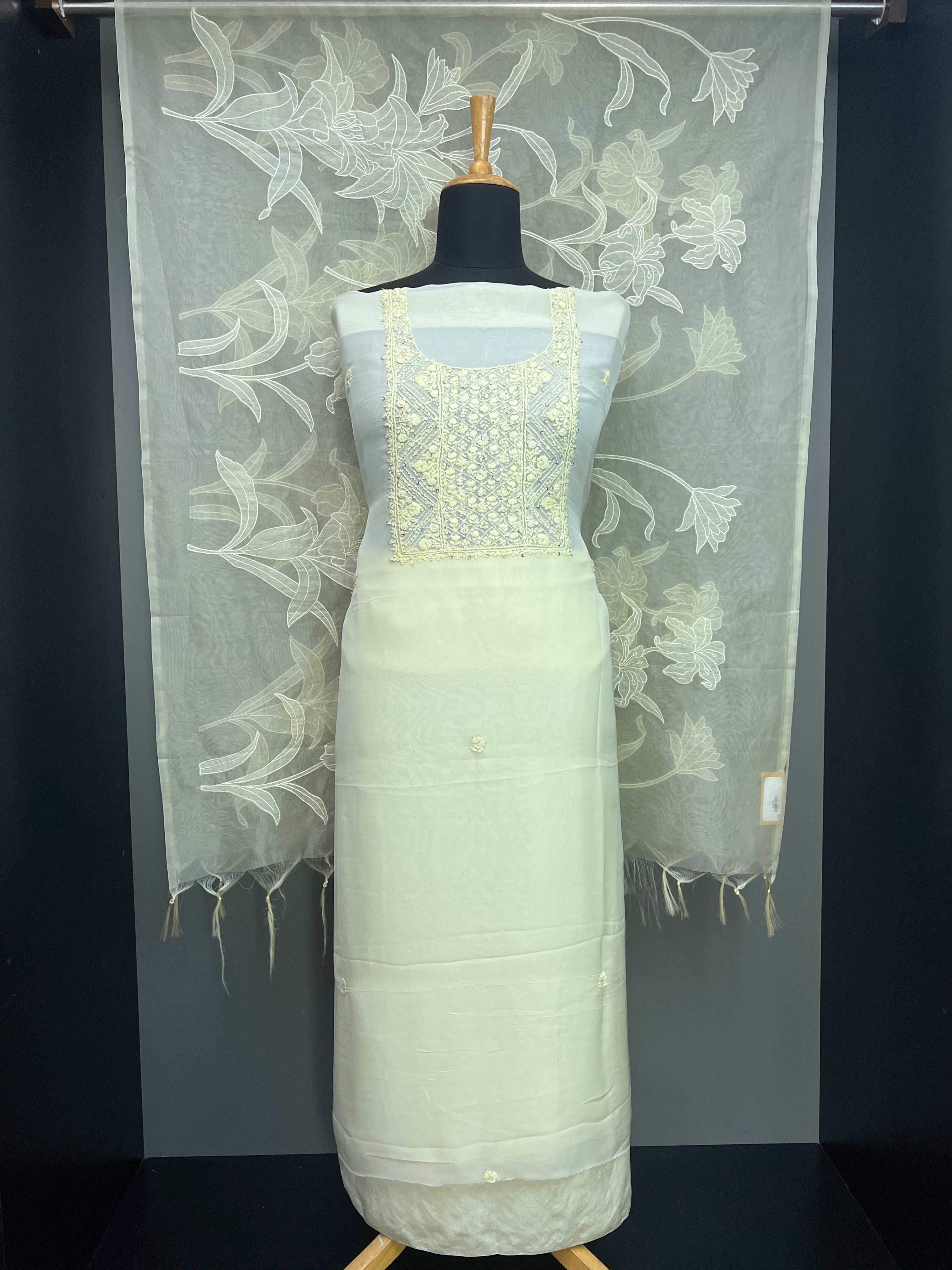 Hand Embroidery Detailed Organza Salwar Set | MM329