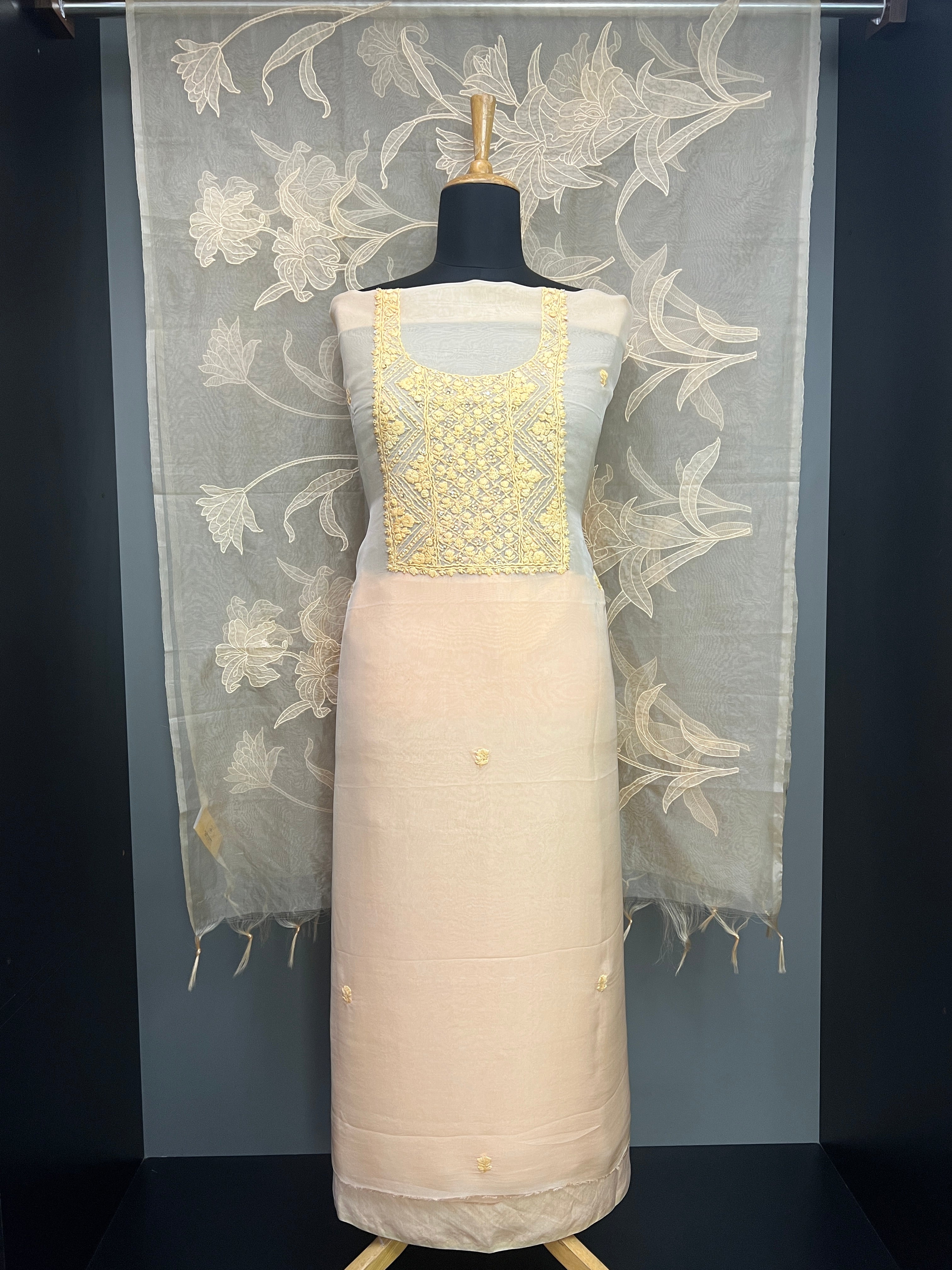 Hand Embroidery Detailed Organza Salwar Set | MM330